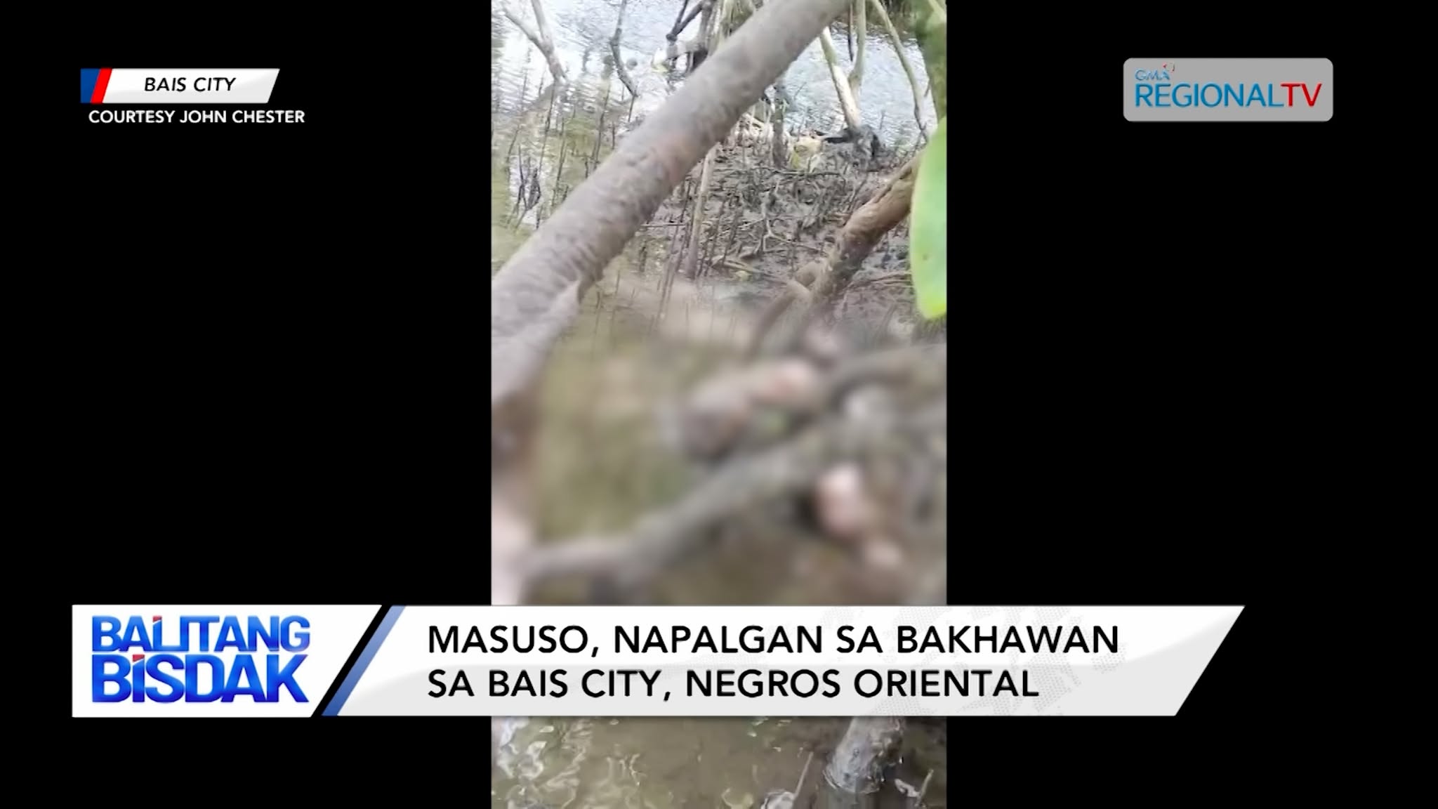 Masuso, Napalgan sa Bakhawan sa Bais City, Negros Oriental | Balitang Bisdak