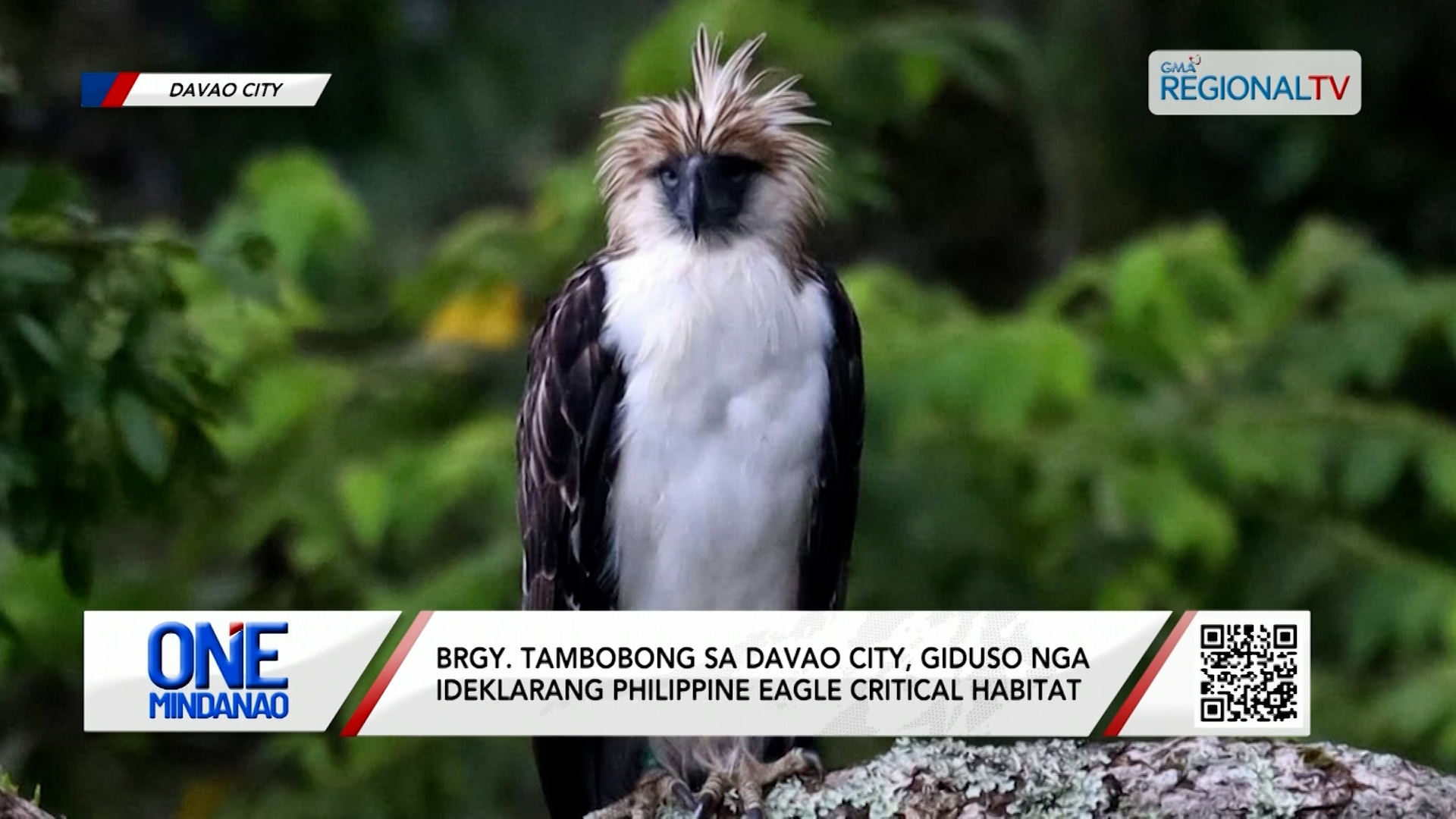 Brgy. Tambobong sa Davao City, giduso I One Mindanao