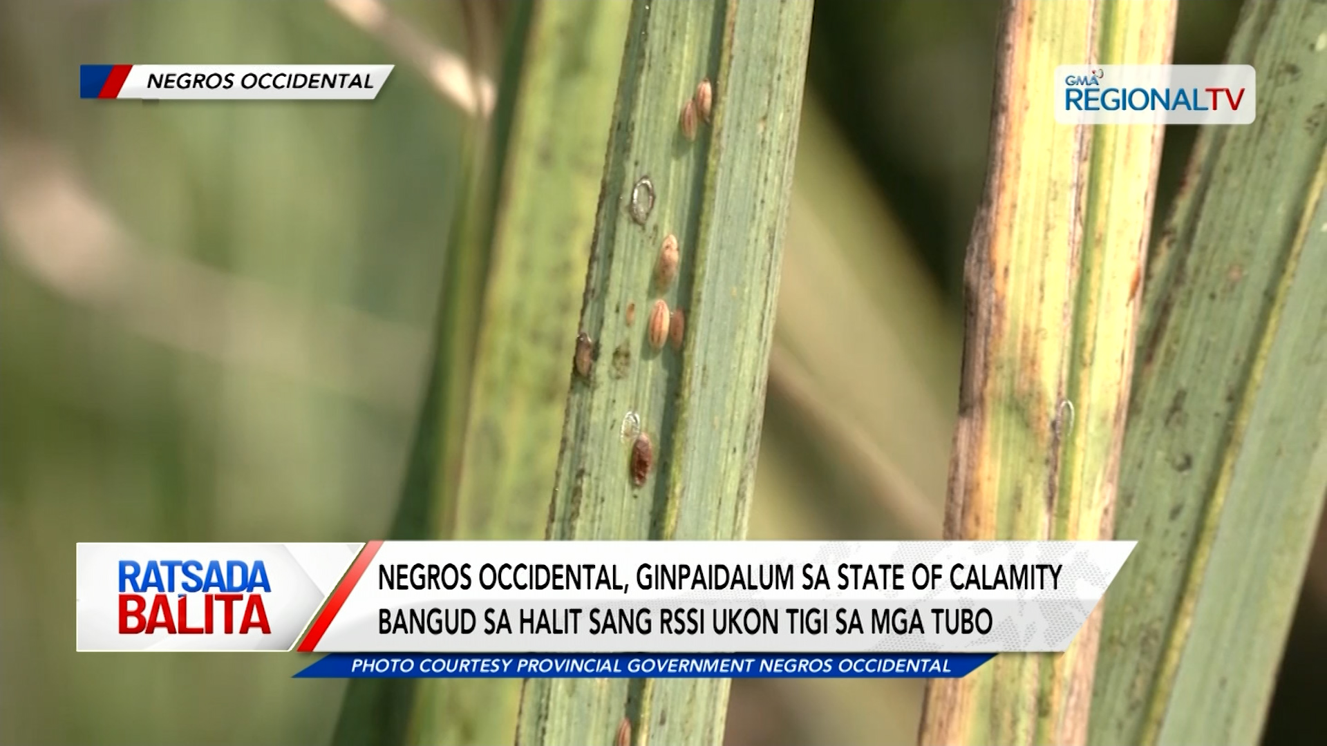 Negros Occidental, ginpaidalum sa state of calamity bangud sa halit sang RSSI | Ratsada Balita
