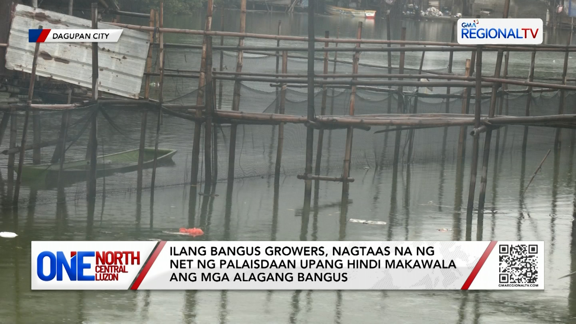 Ilang bangus growers, nagtaas na ng net ng palaisdaan | One North Central Luzon