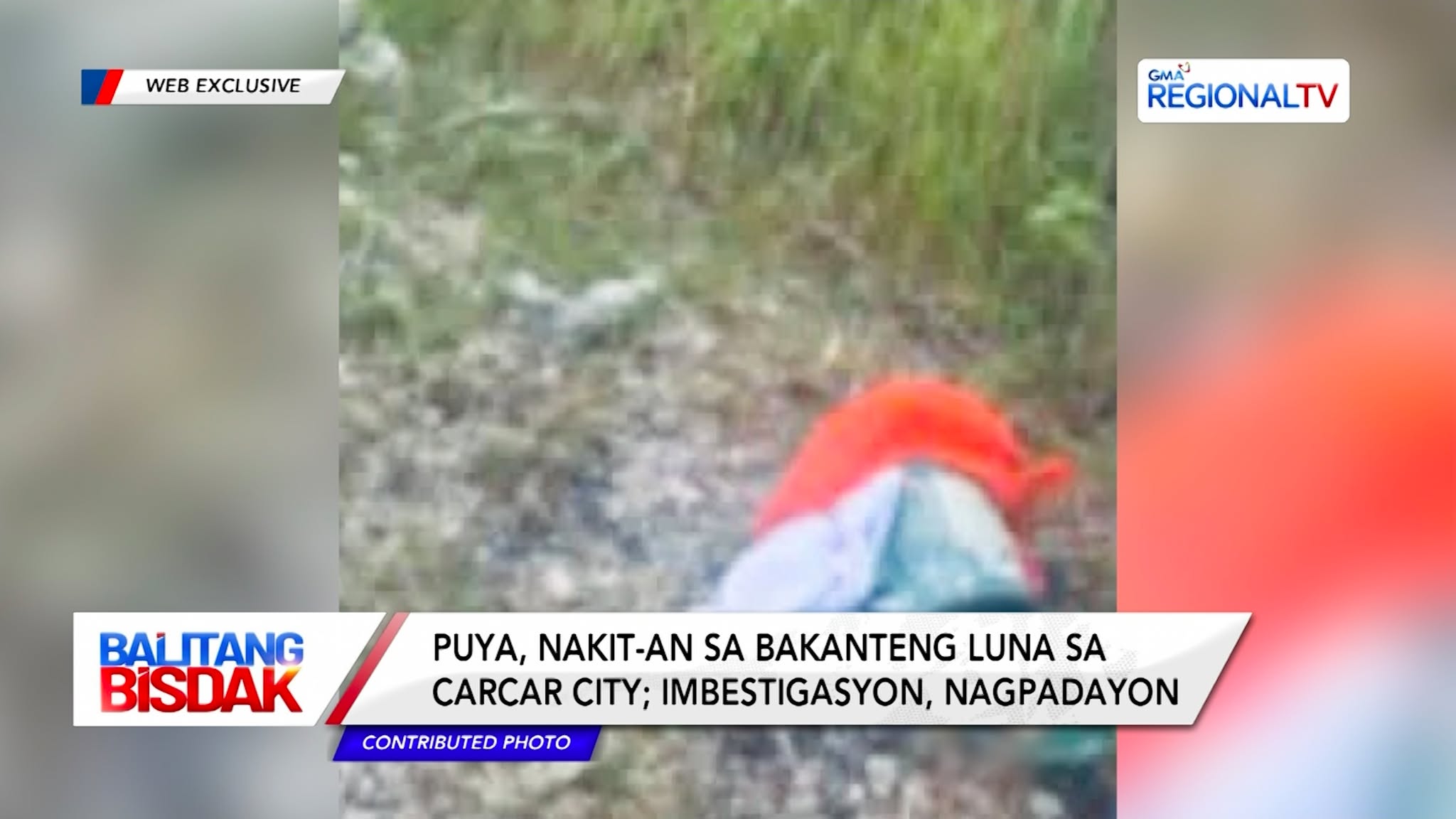 Puya, Nakit-an sa Carcar City, Cebu | Balitang Bisdak