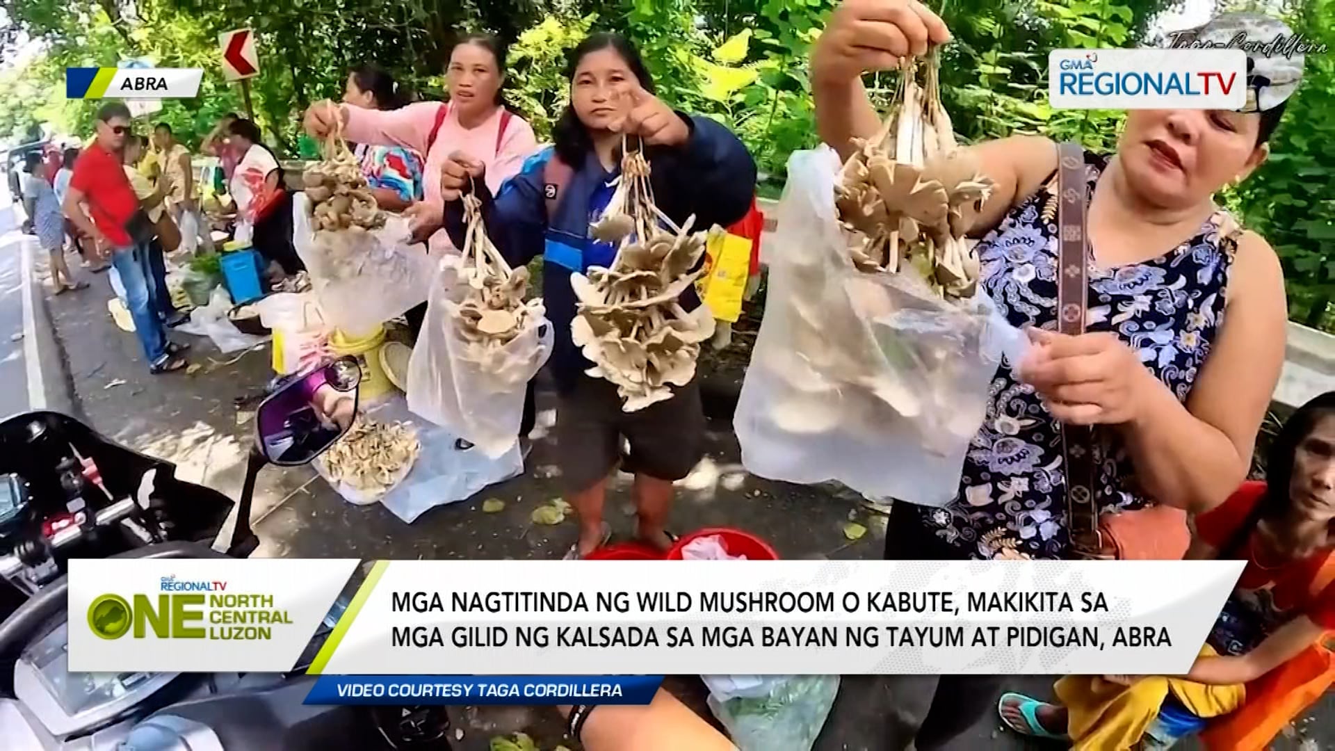 Mga nagtitinda ng kabute, naglipana sa Abra