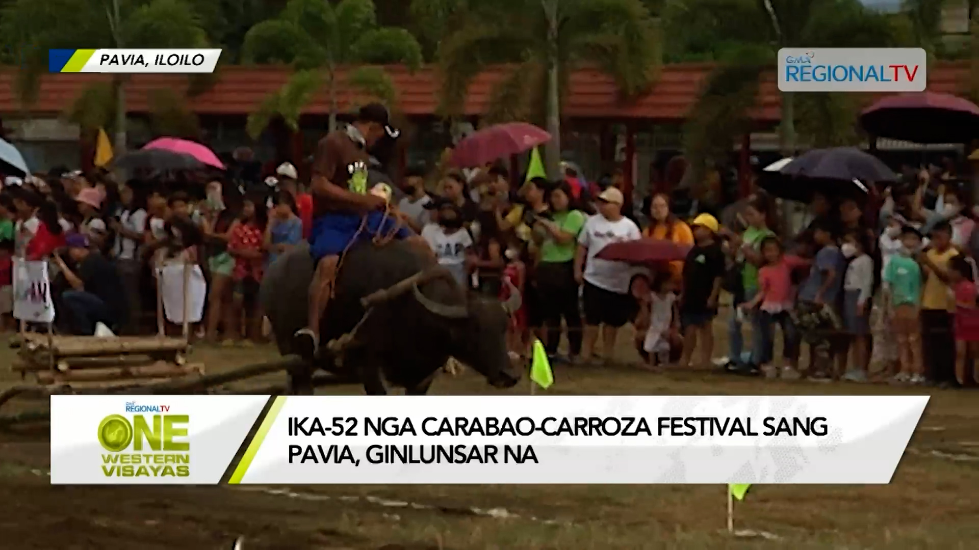 Ika-52 nga Carabao-Carroza Festival sang Pavia, ginlunsar na
