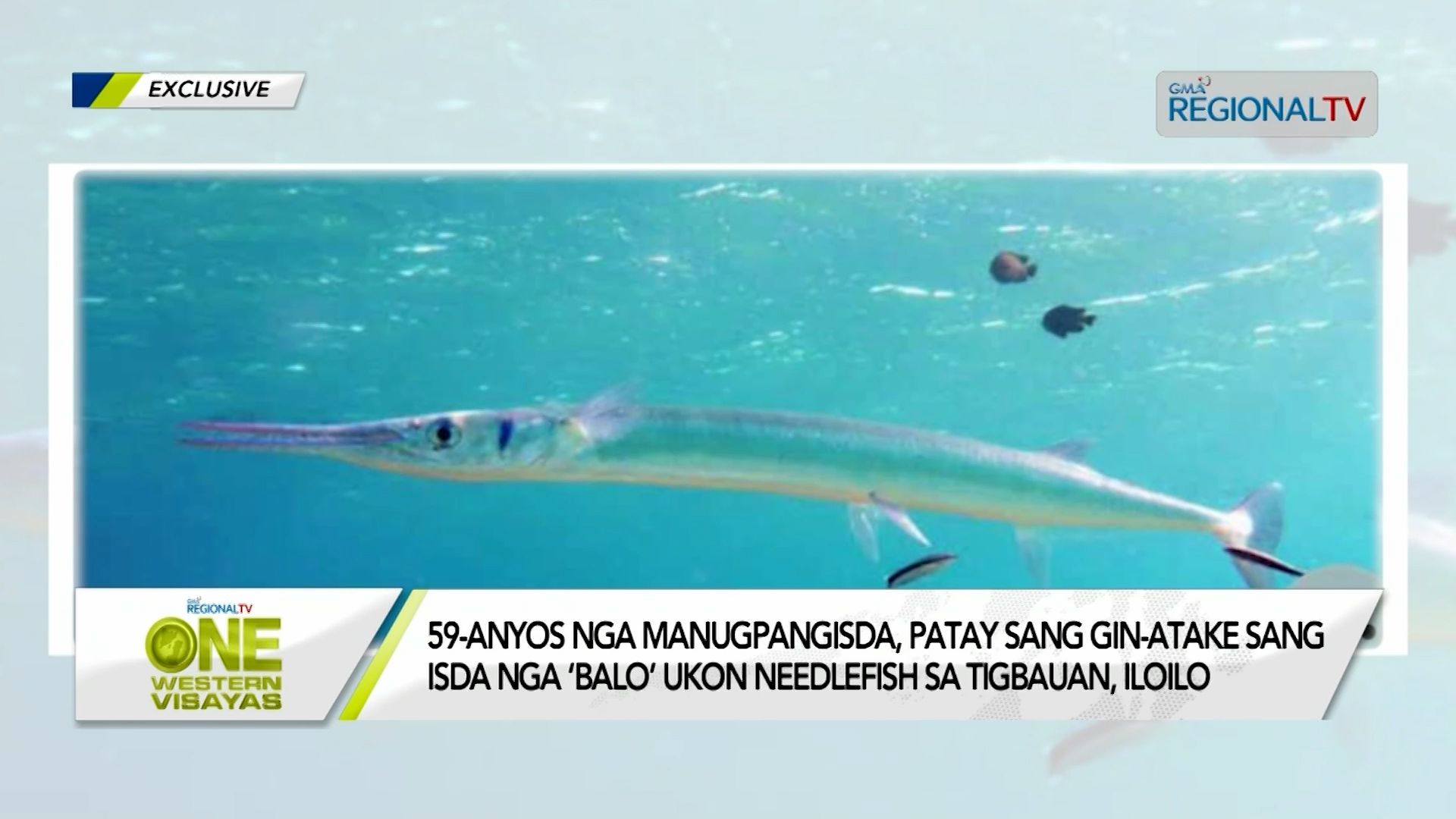 Manugpangisda, patay sang gin-atake sang isda nga ‘balo’ ukon needlefish
