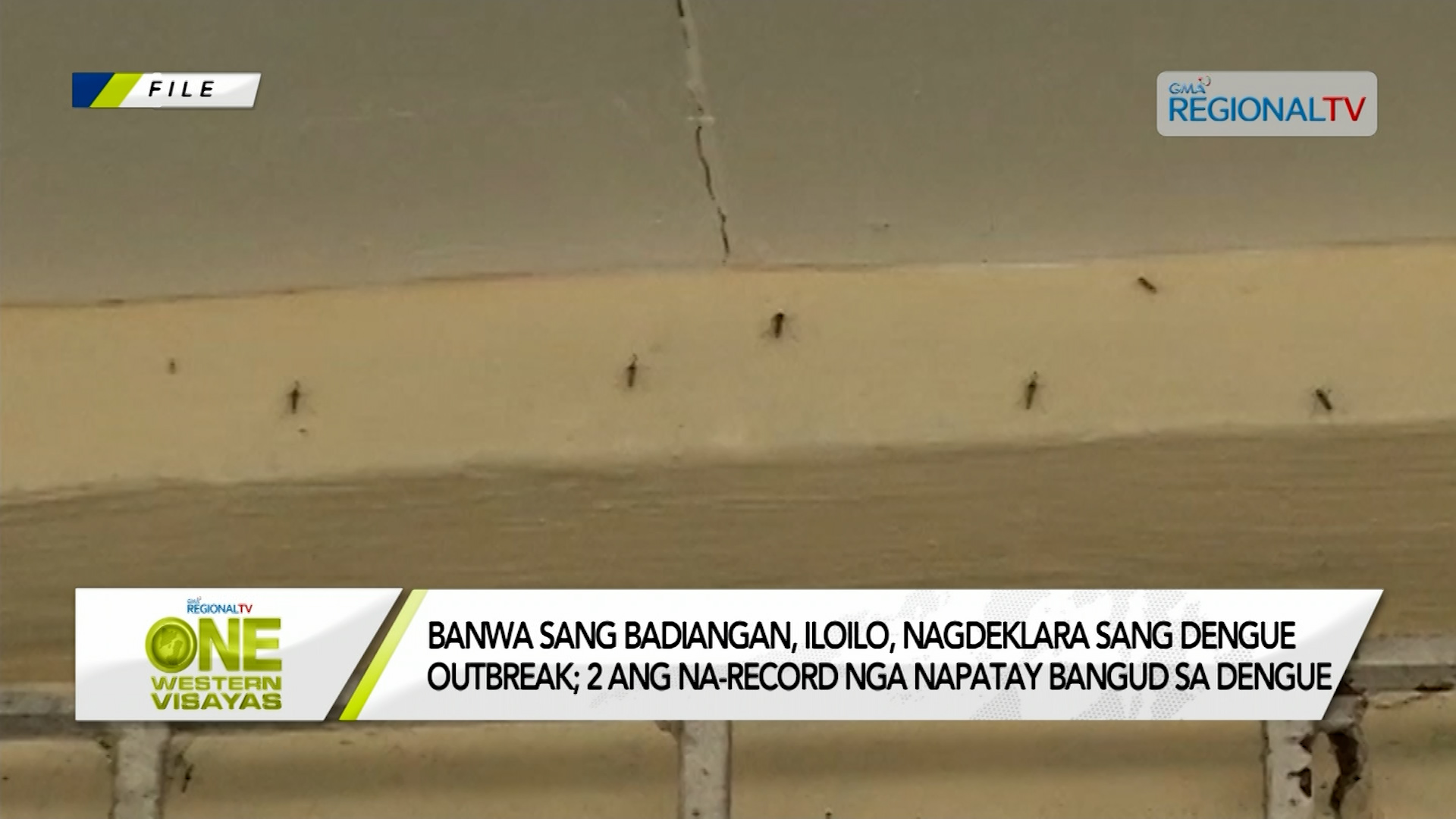 Banwa sang Badiangan, Iloilo, nagdeklara sang dengue outbreak