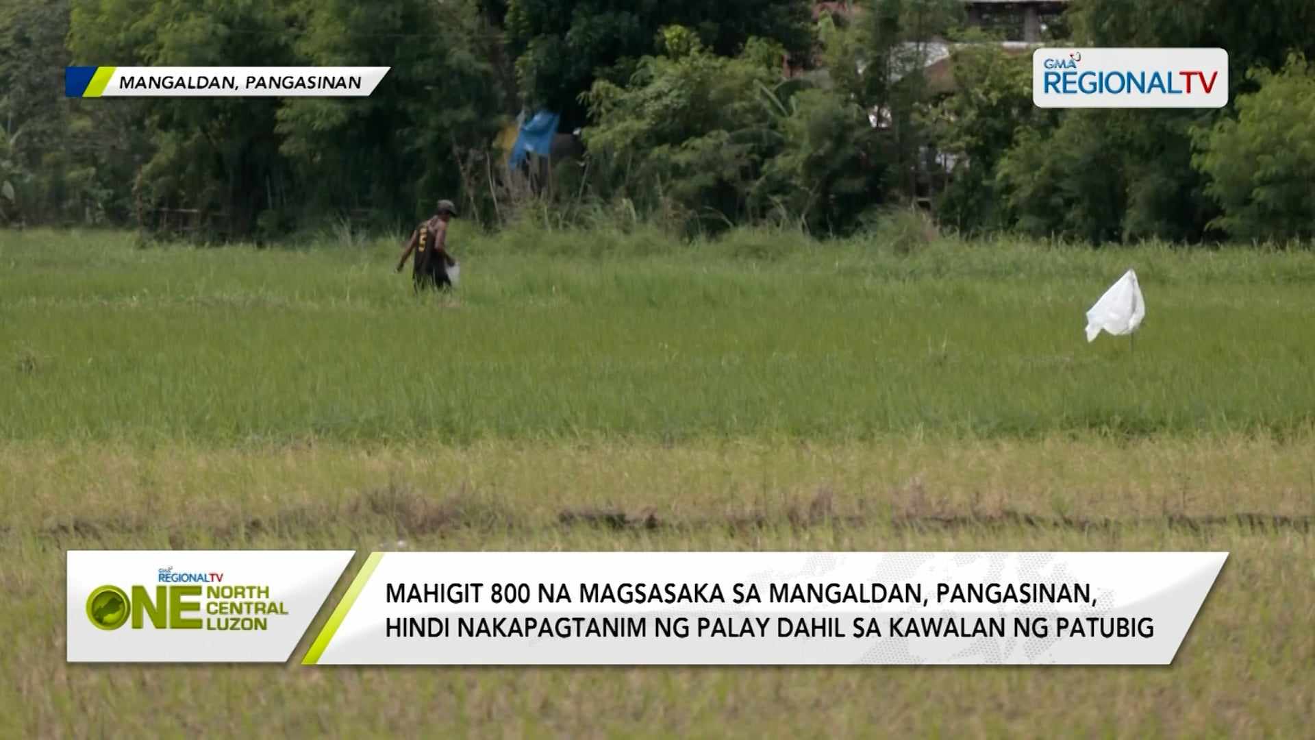 Mahigit 800 na magsasaka sa Mangaldan, hindi nakapagtanim ng palay