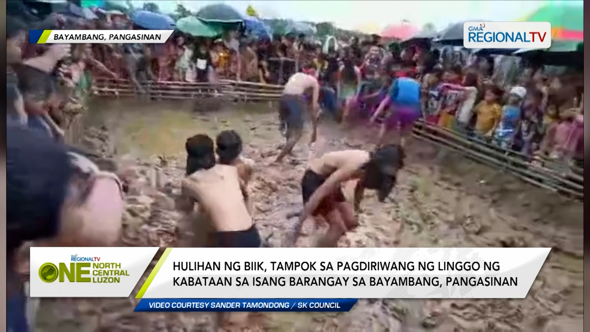 Hulihan ng biik, tampok sa isang barangay sa Bayambang, Pangasinan