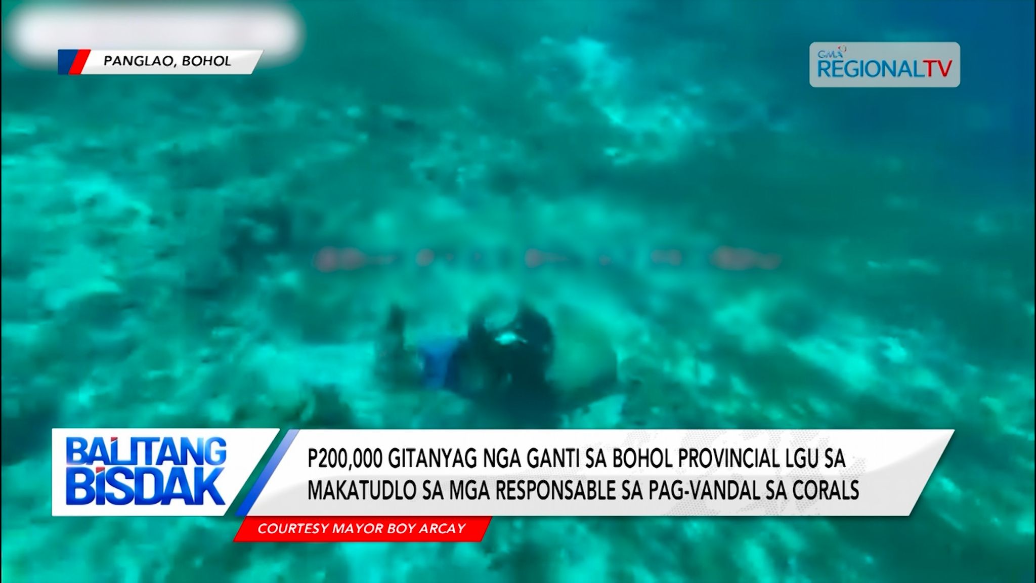 P200K nga ganti sa makatudlo sa nag-vandal sa coral sa Bohol, gitanyag sa LGU