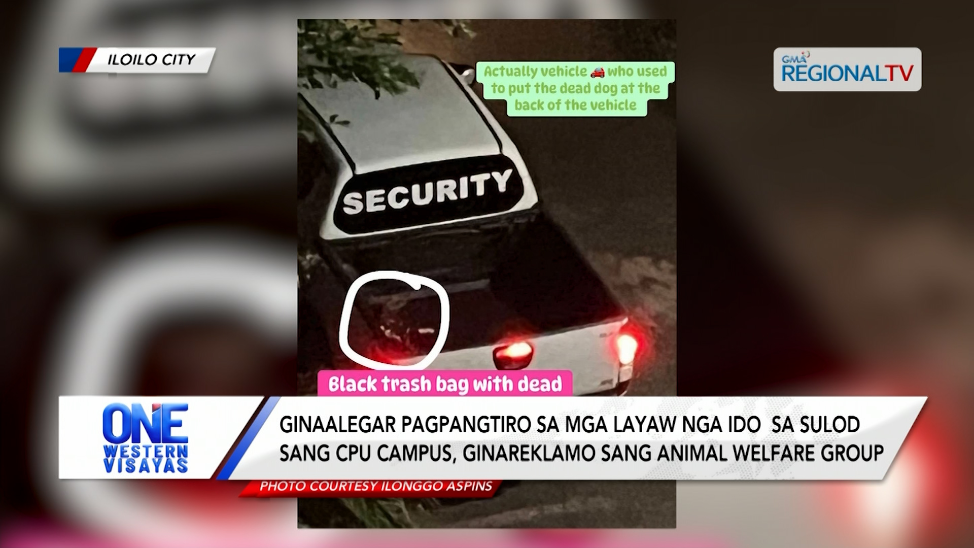 Ginaalegar pagtiro sa mga layaw nga ido sa sulod sang CPU campus, ginareklamo