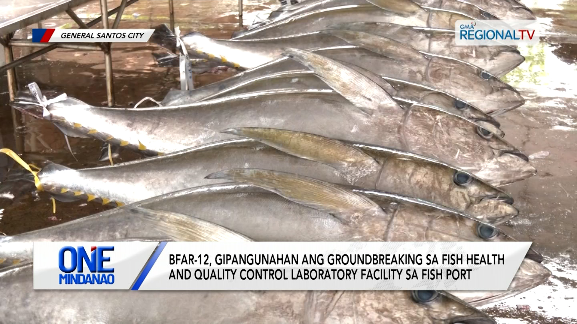 BFAR-12, gipangunahan ang groundbreaking sa FHQC Lab Facility sa fish port