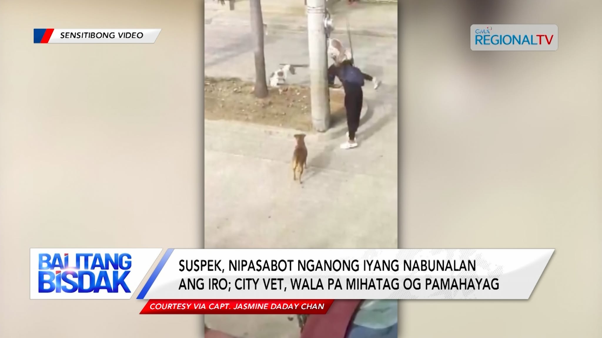 Libud-Suroy nga Iro sa Lapu-Lapu City, Gibunalan | Balitang Bisdak