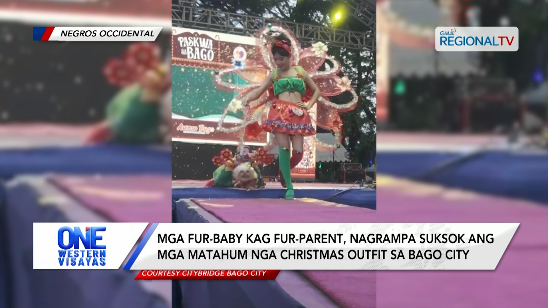 Mga fur-baby kag fur-parent, nagrampa suksok ang matahum nga christmas outfit | One Western Visayas