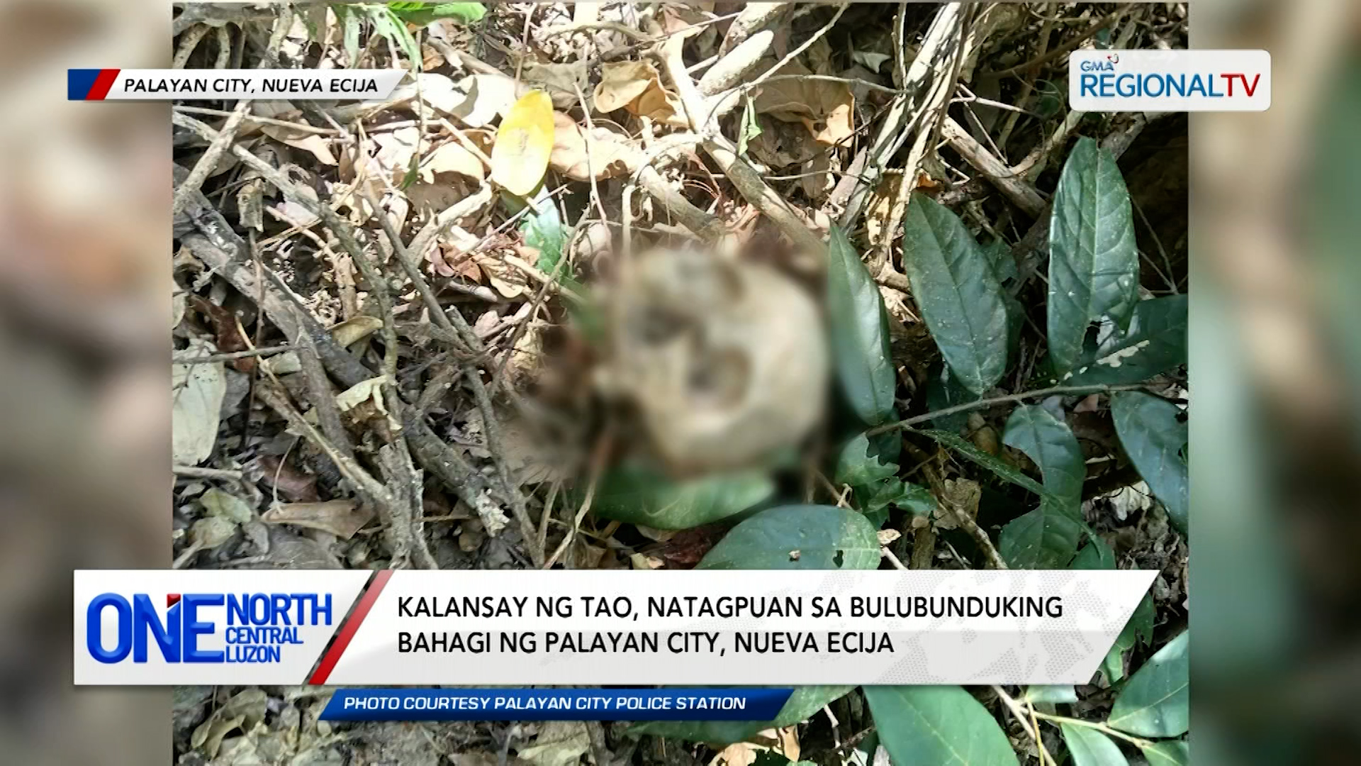 Kalansay ng tao, natagpuan sa bulubunduking bahagi ng Nueva Ecija | One North Central Luzon