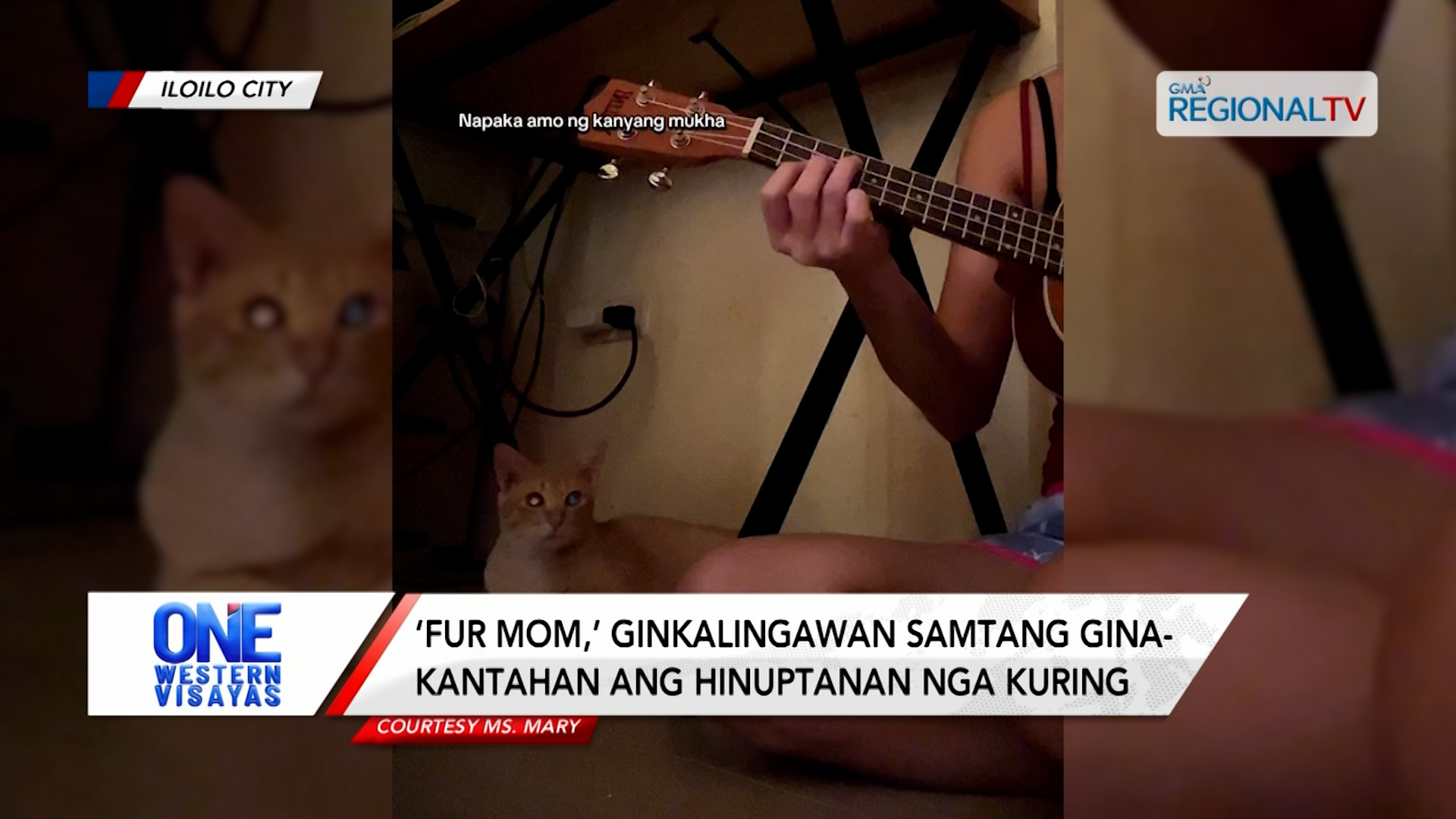 ‘Fur mom,’ ginkalingawan samtang ginakantahan ang hinuptanan nga kuring | One Western Visayas
