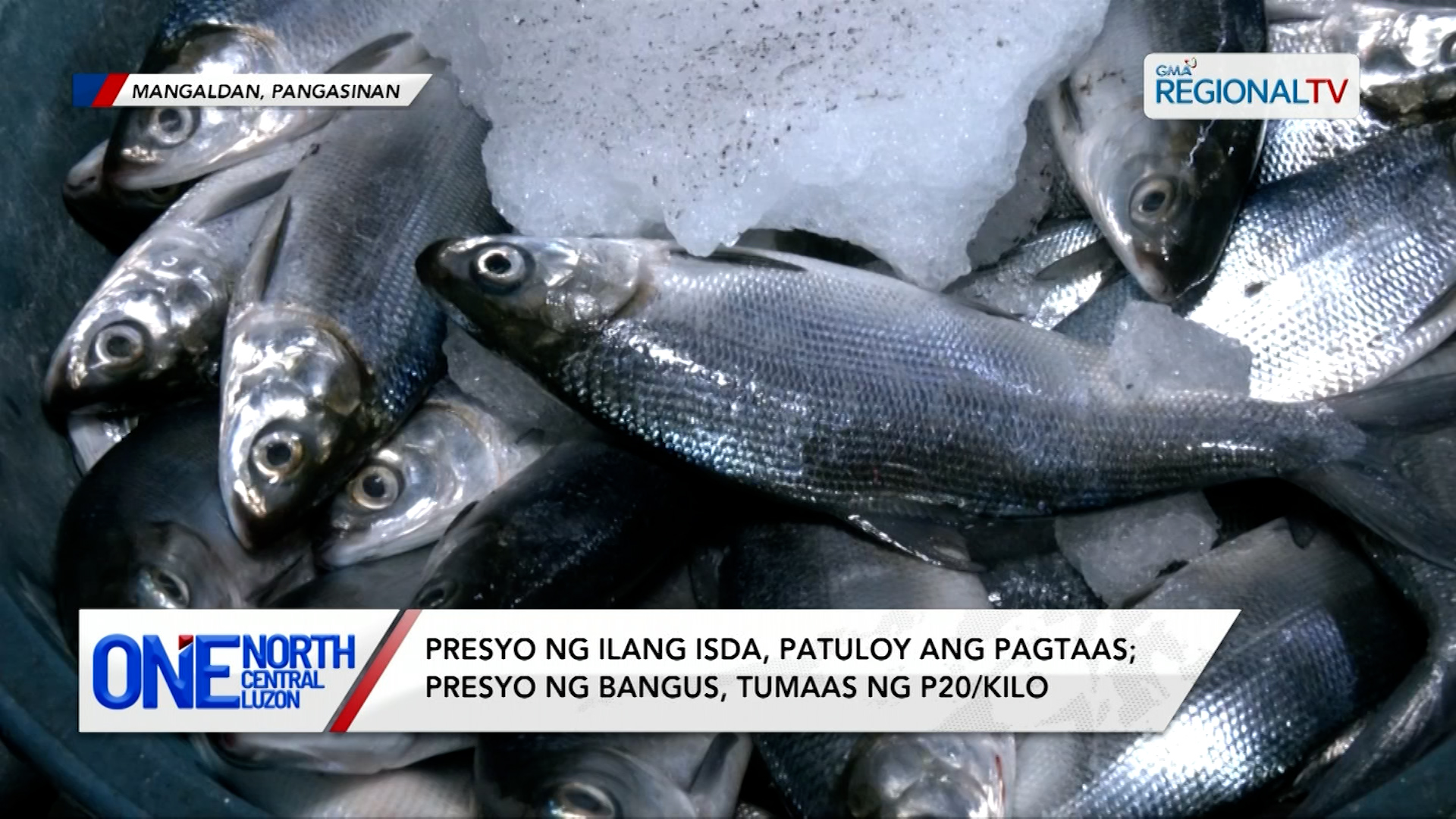 Presyo ng isda, patuloy ang pagtaas; presyo ng bangus, tumaas ng P20/kilo | One North Central Luzon