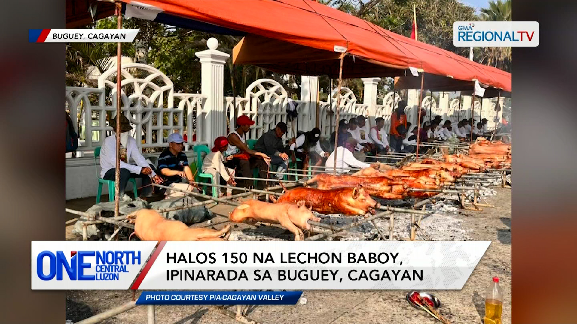 Halos 150 na lechon baboy, ipinarada sa Buguey, Cagayan | One North Central Luzon