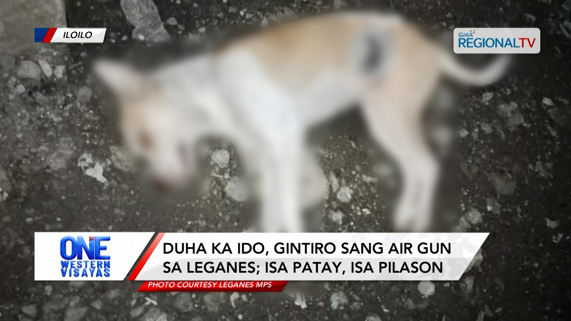 Duha ka ido, gintiro sang air gun sa Leganes; isa patay, isa pilason | One Western Visayas