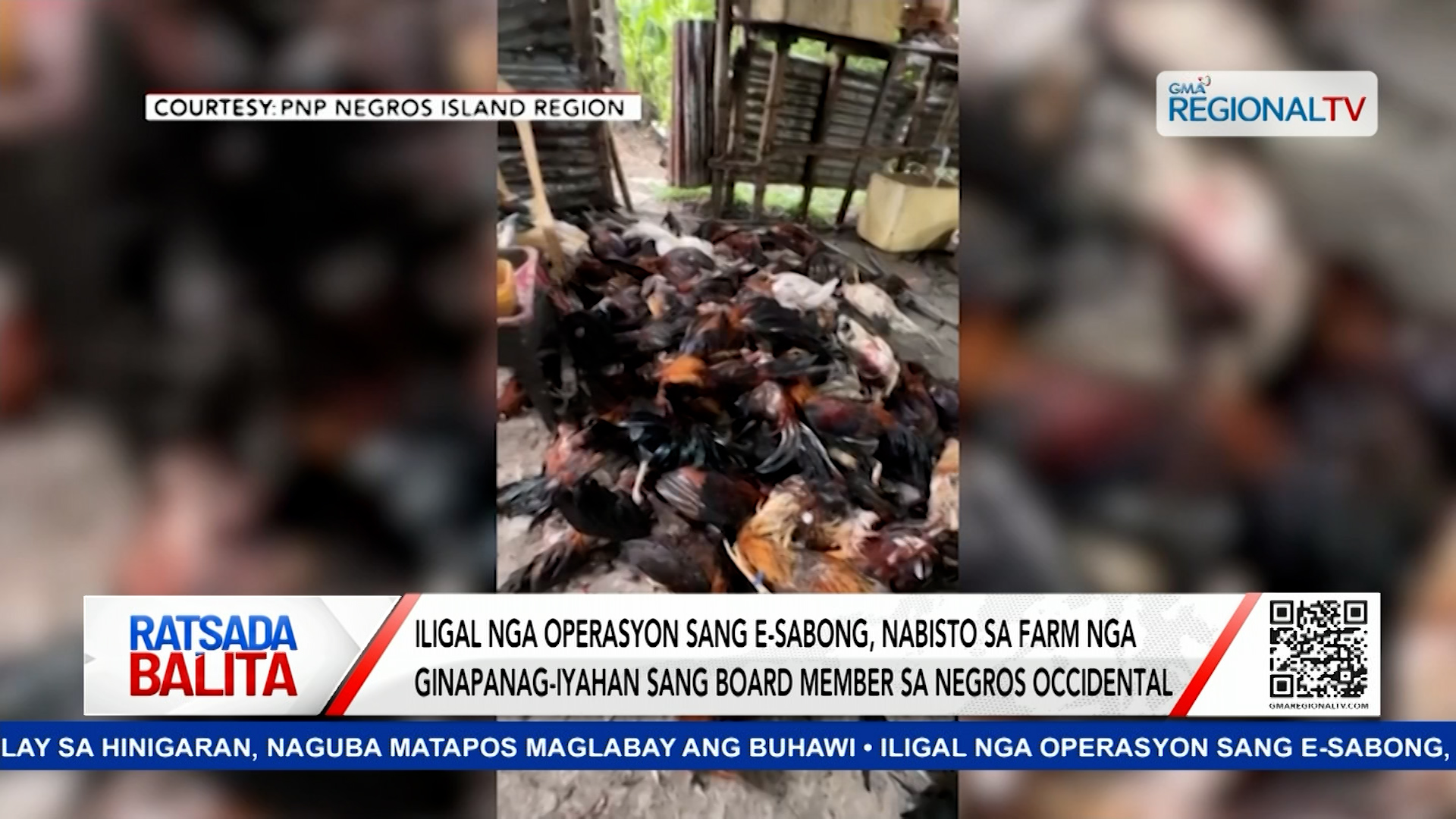 Iligal nga operasyon sang e-sabong, nabisto sa farm sa Negros Occidental | Ratsada Balita