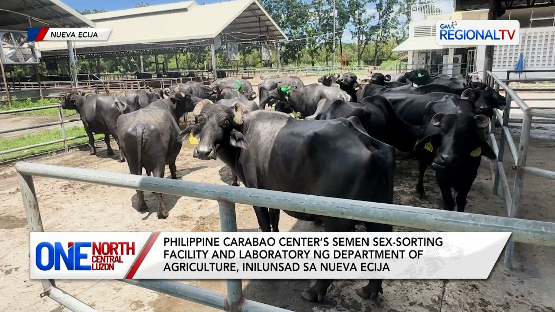 Philippine Carabao Center Semen Sex-Sorting Facility and Laboratory | One North Central Luzon