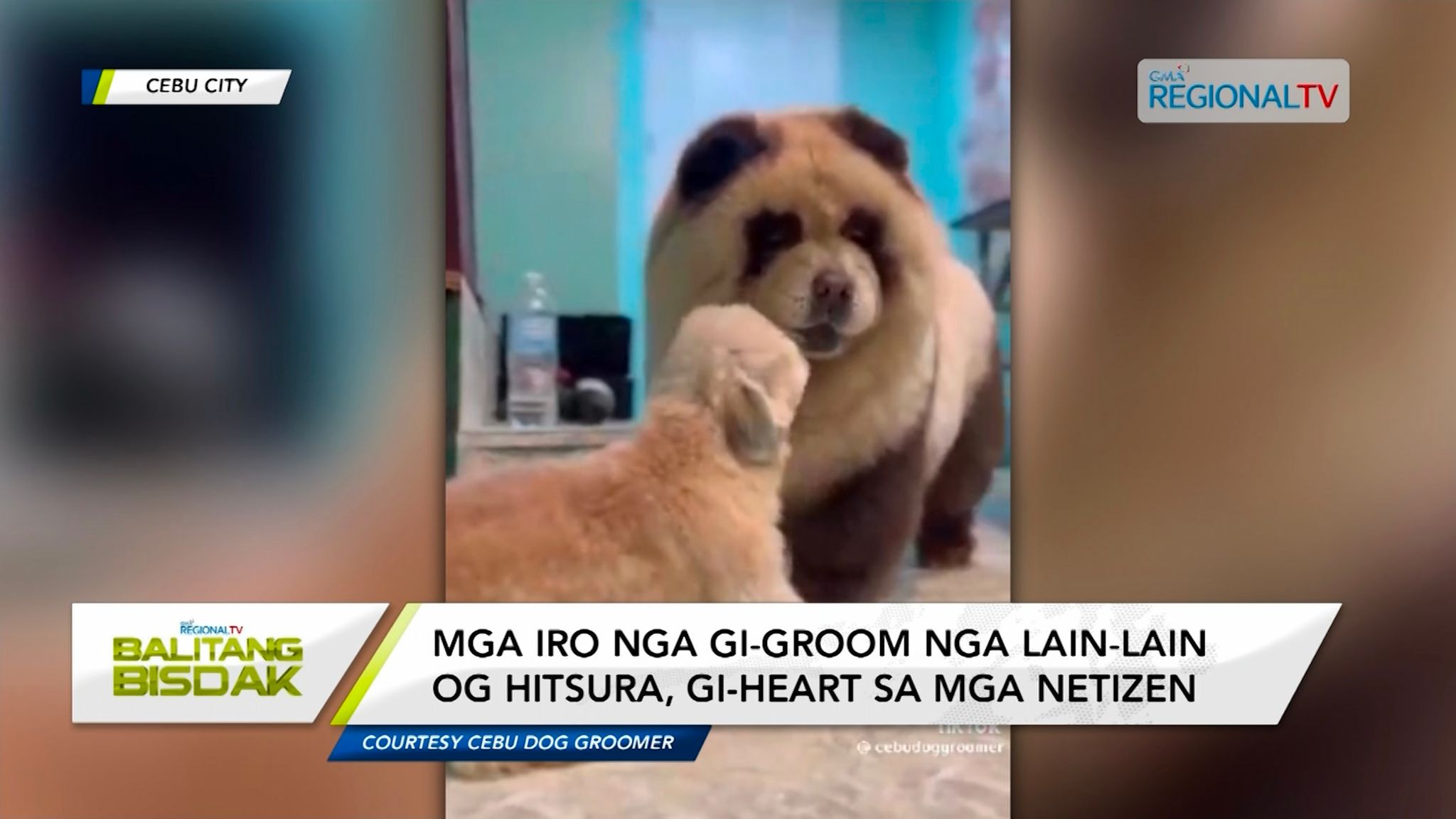 Pina-level up nga grooming sa mga iro