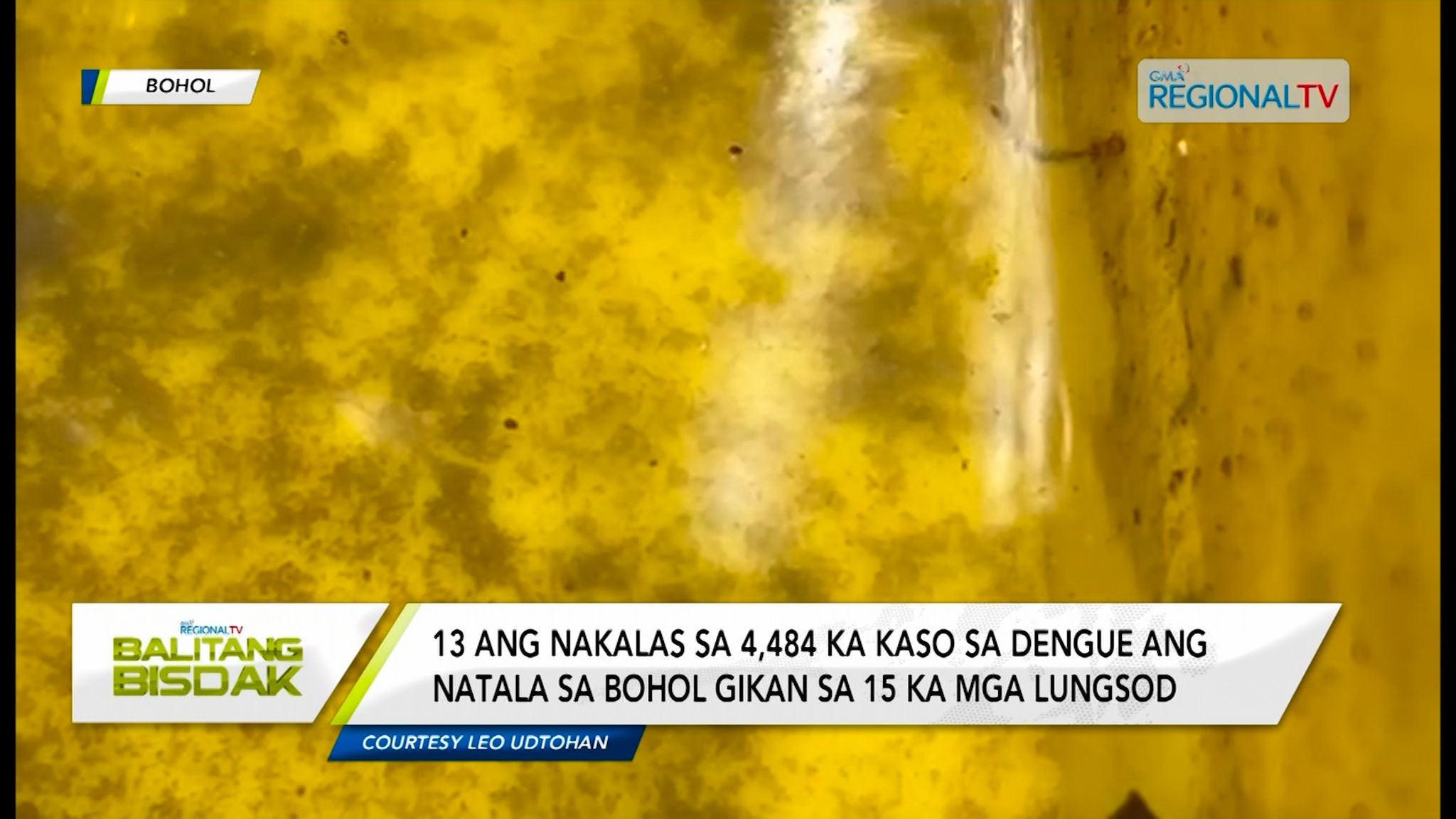 Kaso sa dengue sa Bohol, misaka; 13 nakalas