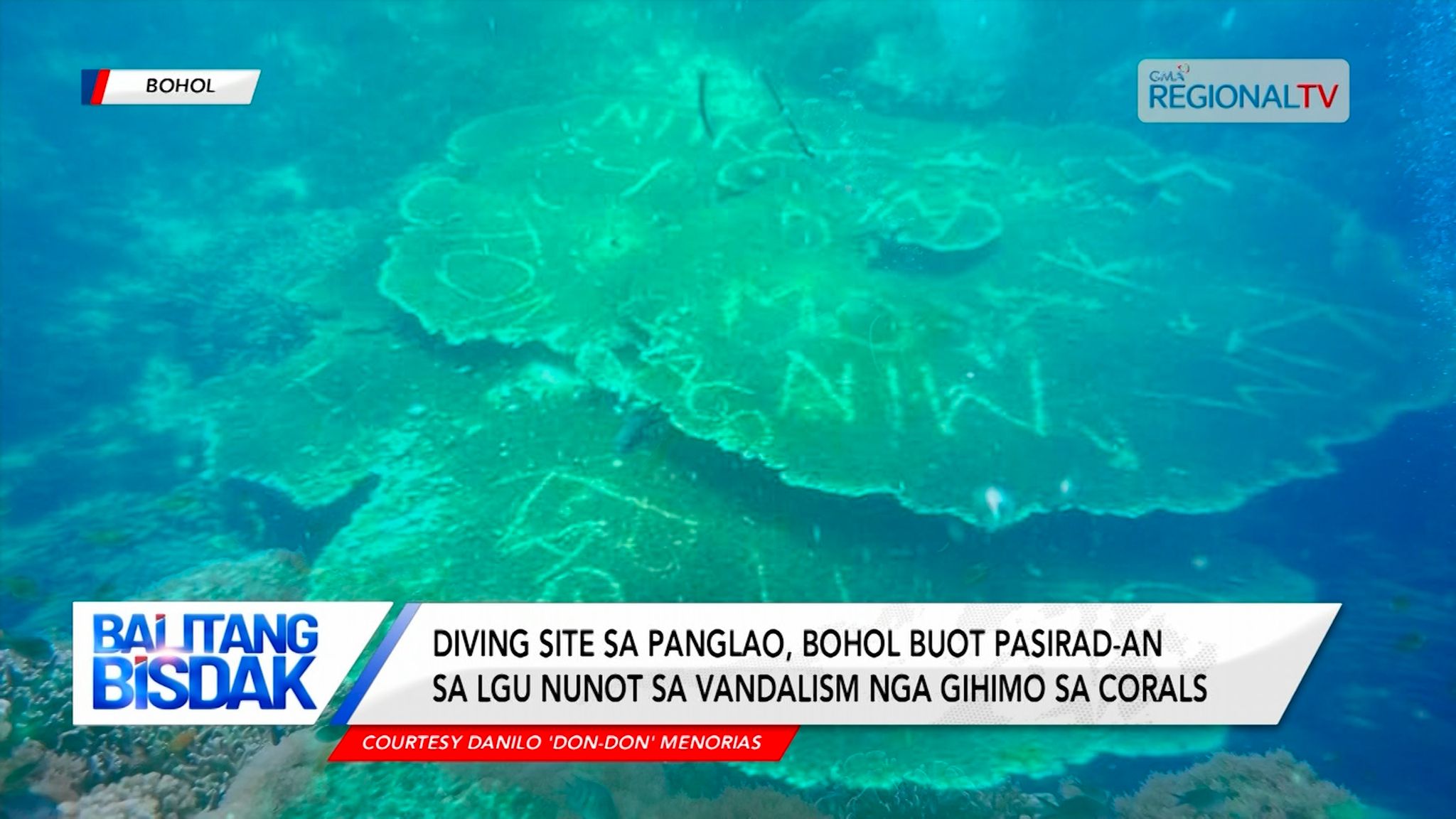 Bandalismo sa corals sa diving site sa Panglao, Bohol, giimbestigahan