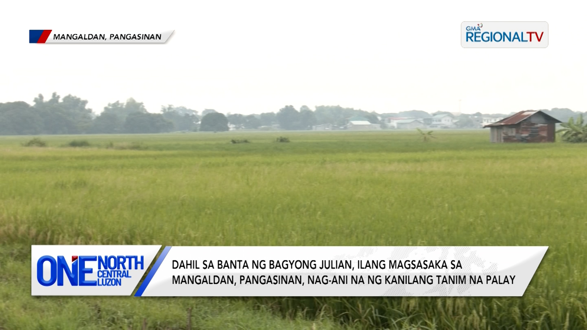 Ilang magsasaka sa Mangaldan, nag-ani na ng kanilang tanim na palay