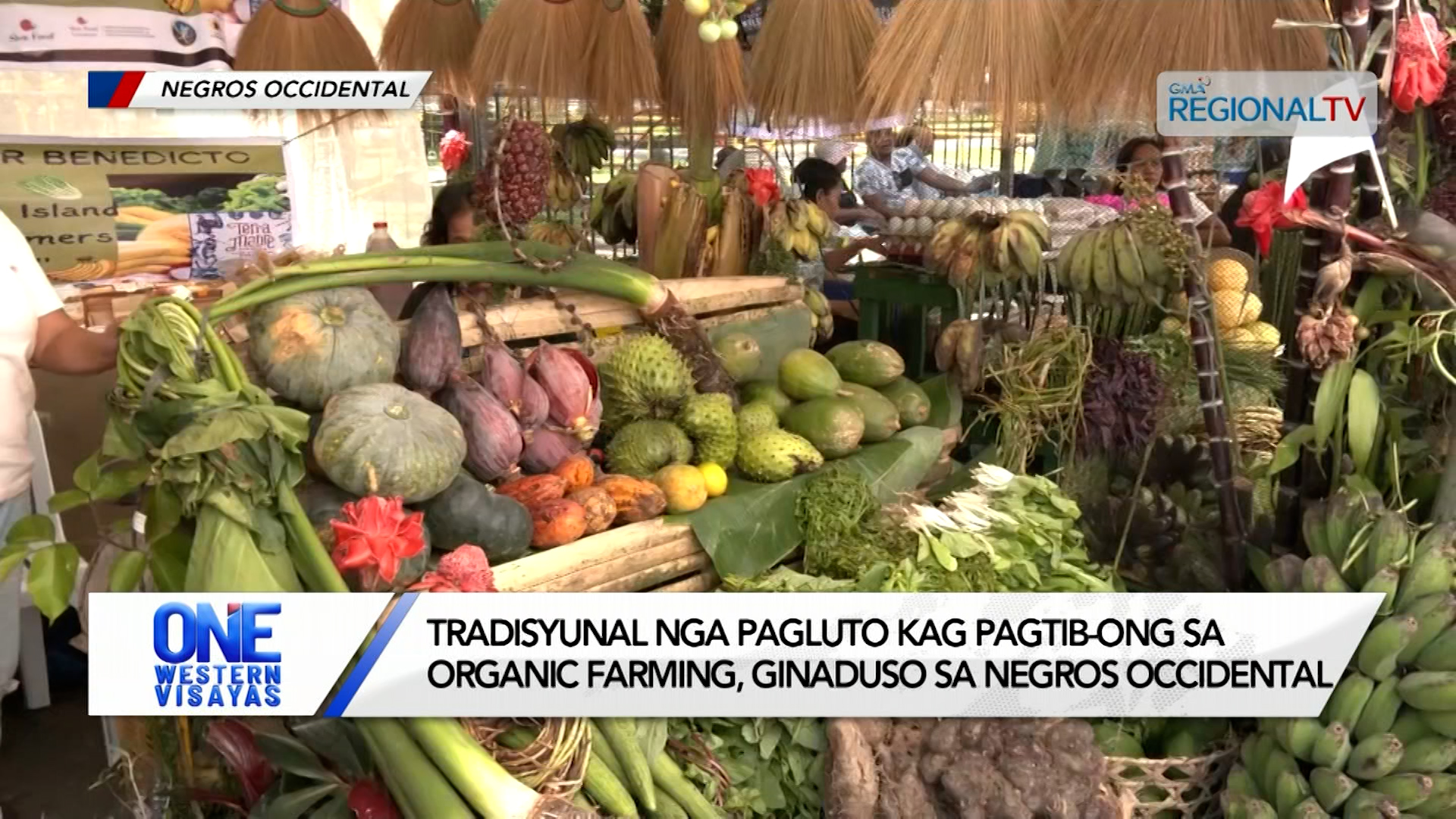 Tradisyunal nga pagluto kag organic farming, ginaduso sa Negros Occidental