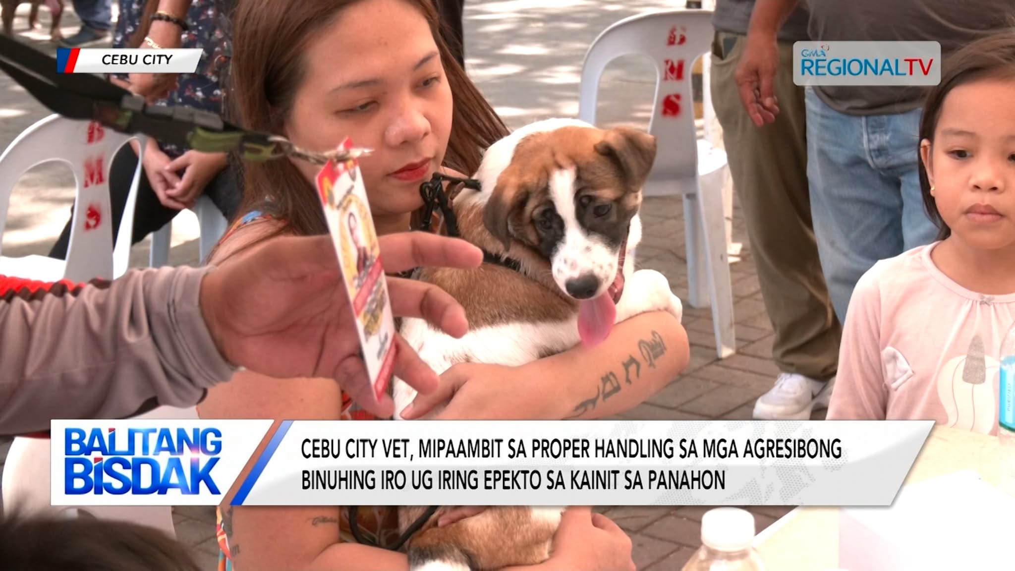 Cebu City Vet, mipaambit sa proper handling sa mga agresibong binuhing iro ug iring