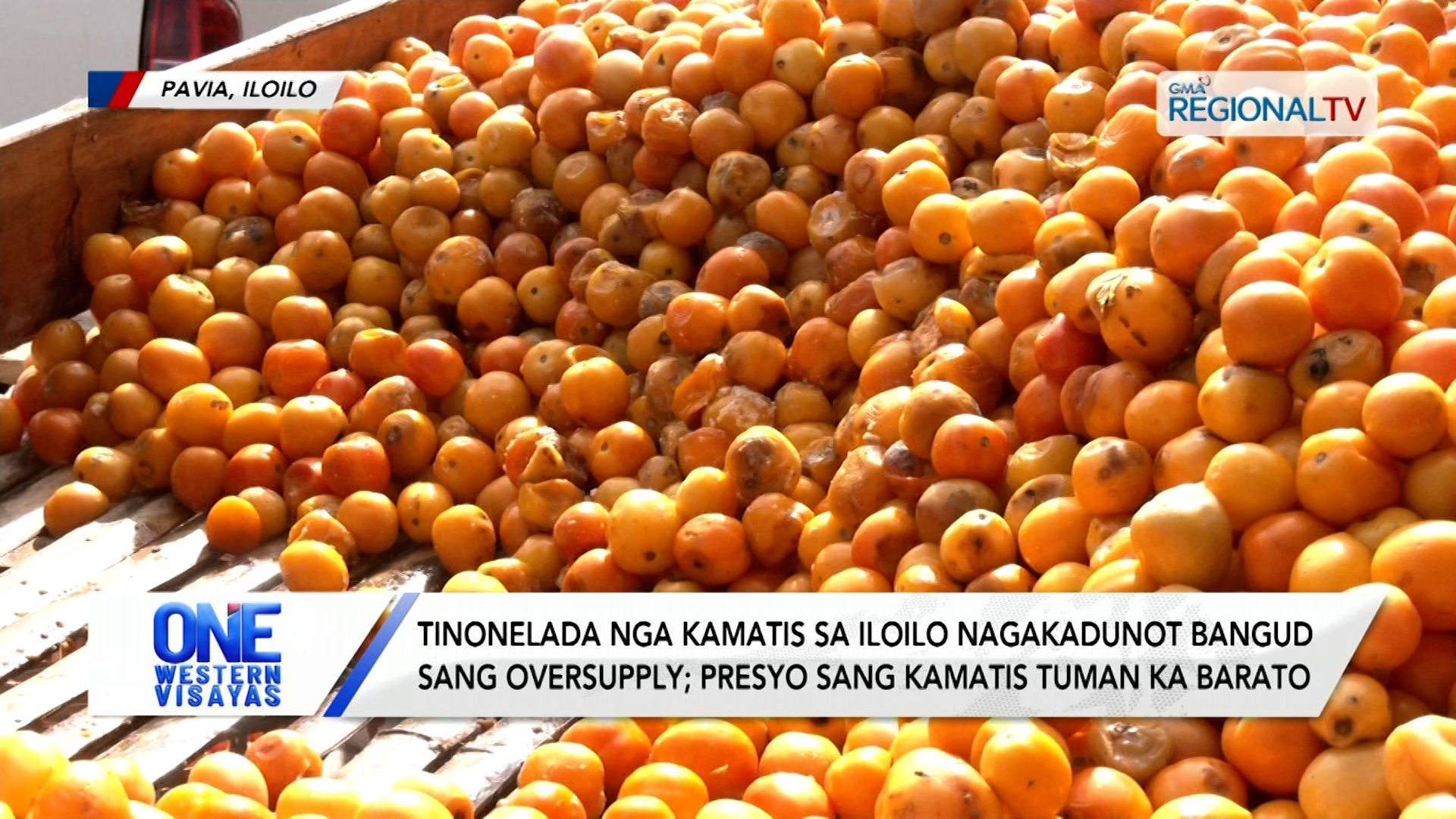 Tinonelada nga kamatis sa Iloilo nagakadunot bangud sang oversupply