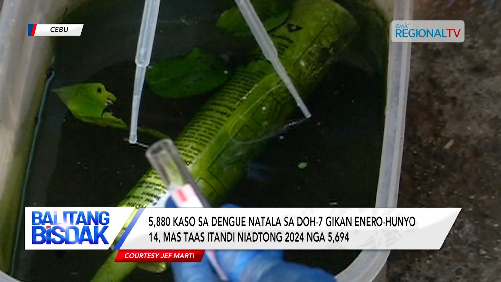 5,880 kaso sa dengue sa Central Visayas, natala sa DOH-7 gikan Enero-Hunyo 14