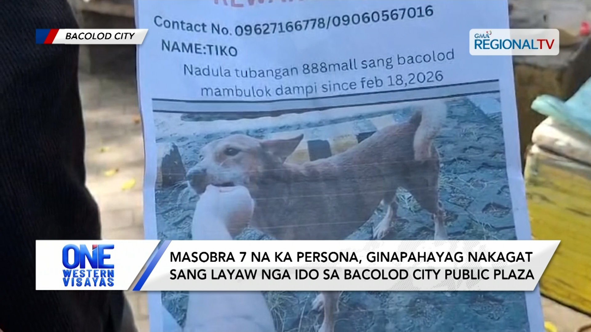 Masobra 7 na ka persona, ginapahayag nakagat sang ido sa Bacolod City Plaza | One Western Visayas