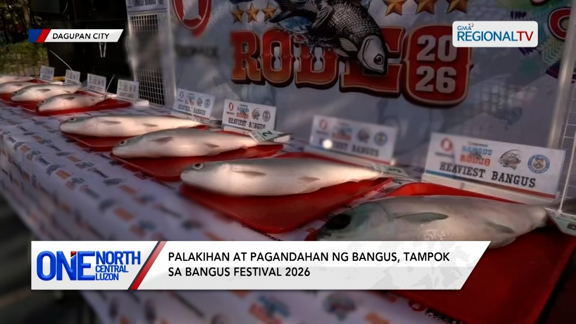 Palakihan at pagandahan ng bangus, tampok sa Bangus Festival 2026 | One North Central Luzon