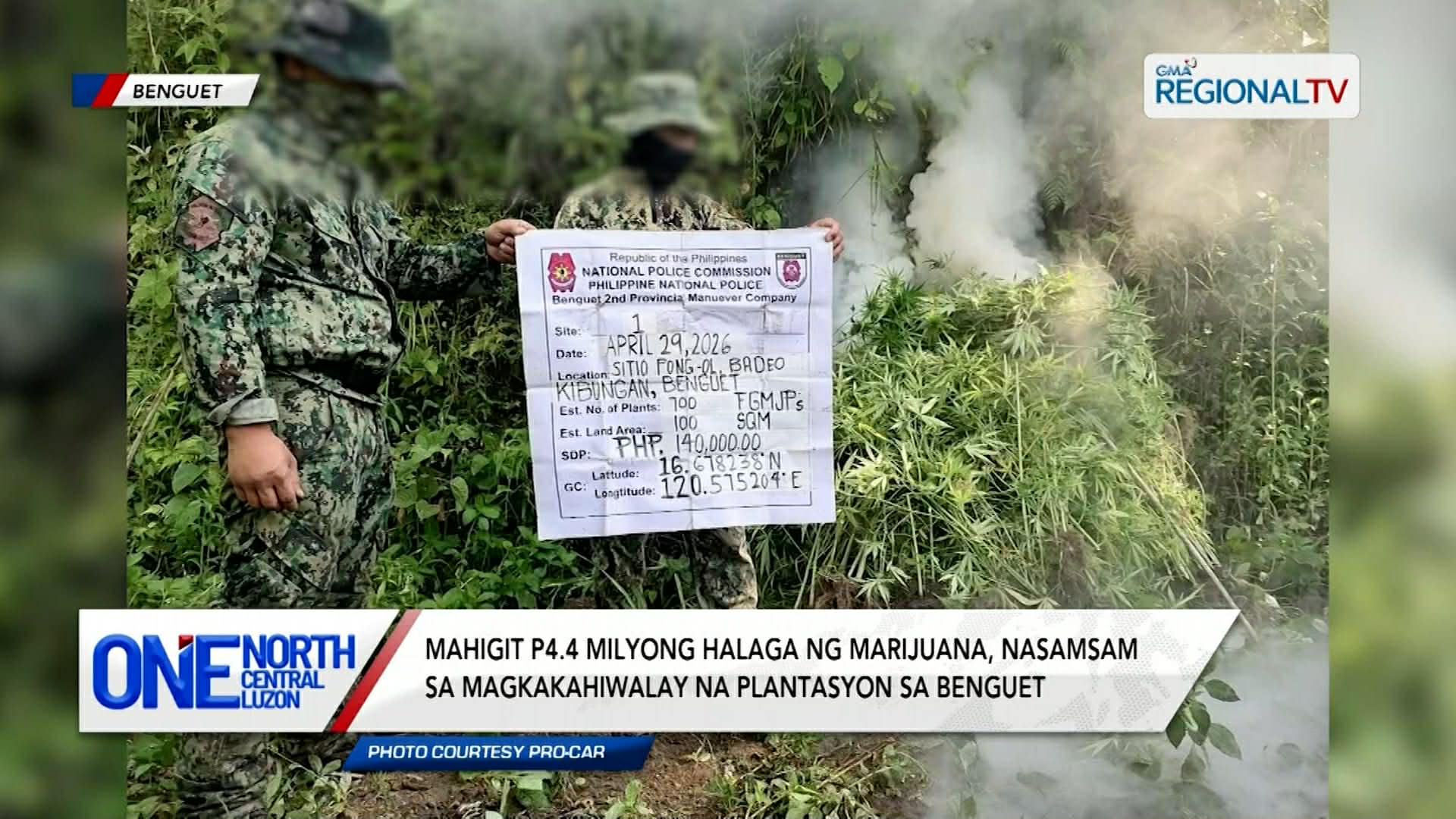 Mahigit P4.4 milyong halaga ng marijuana, nasamsam sa Benguet | One North Central Luzon