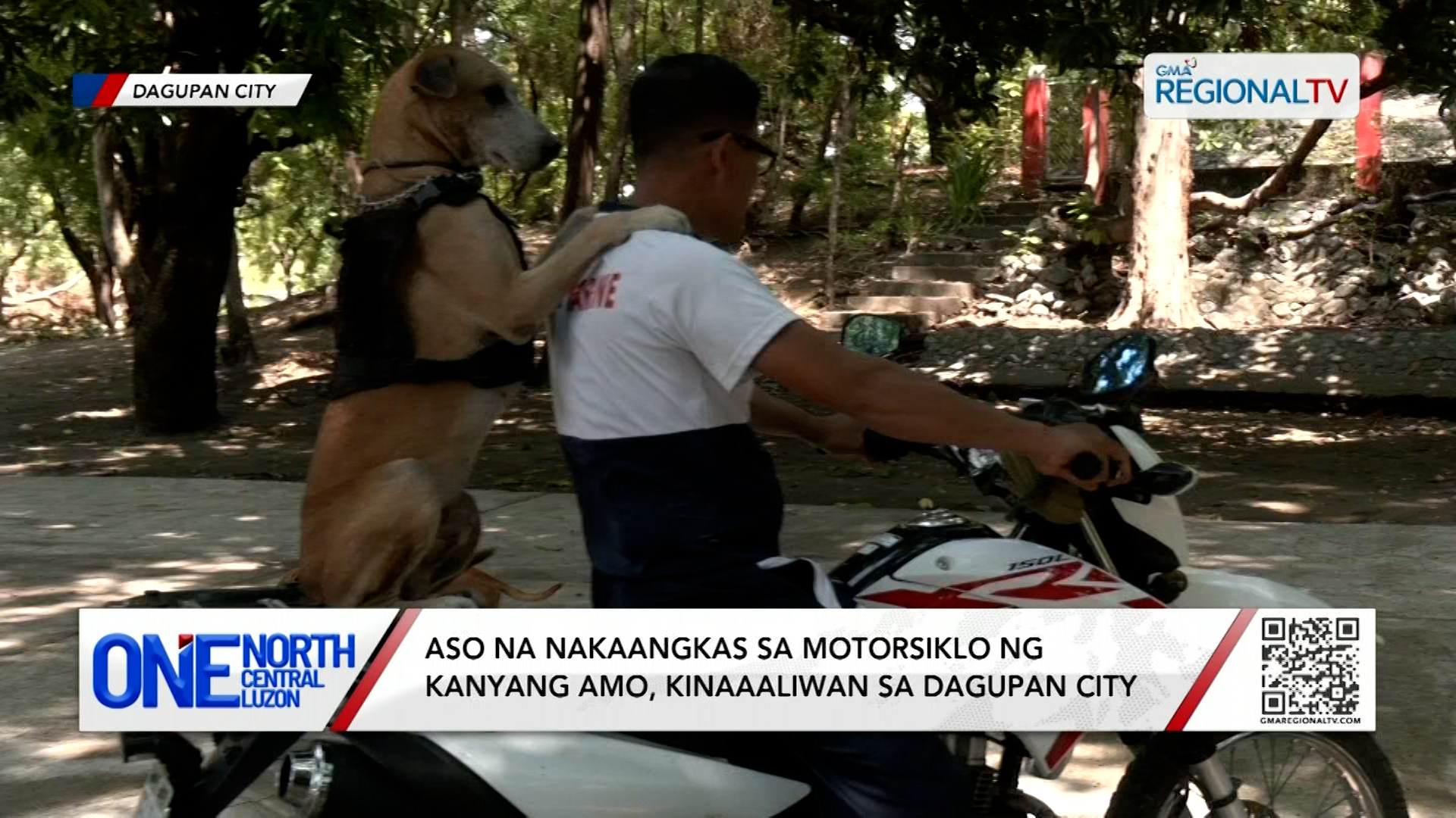 Aso na nakaangkas sa motorsiklo ng kanyang amo, kinaaaliwan | One North Central Luzon