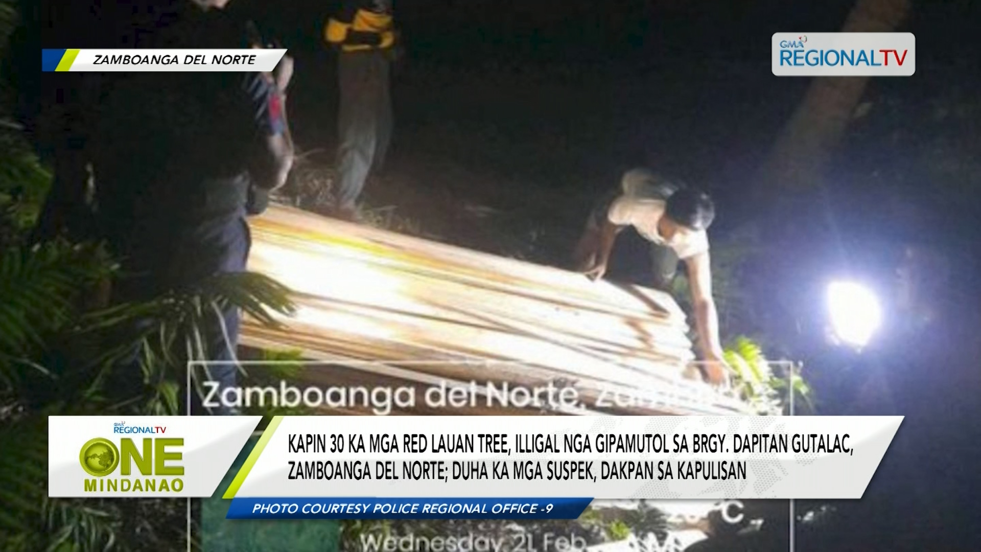 Kapin 30 ka iligal nga gipamutol nga red lauan tree sa Zamboanga Del Norte, nasakmit