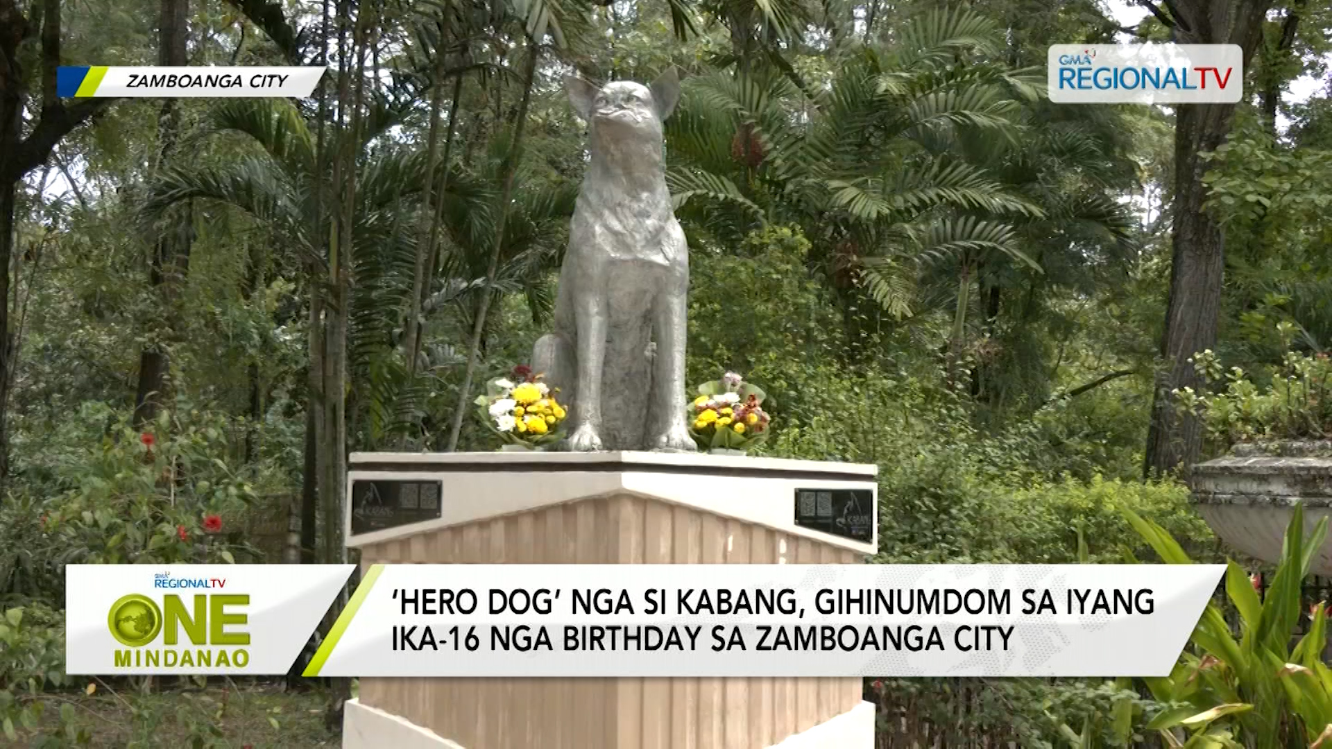 Hero Dog’ nga si Kabang, gihinumdom