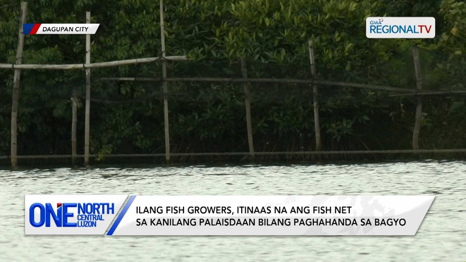 Ilang fish growers, itinaas na ang fish net sa kanilang palaisdaan