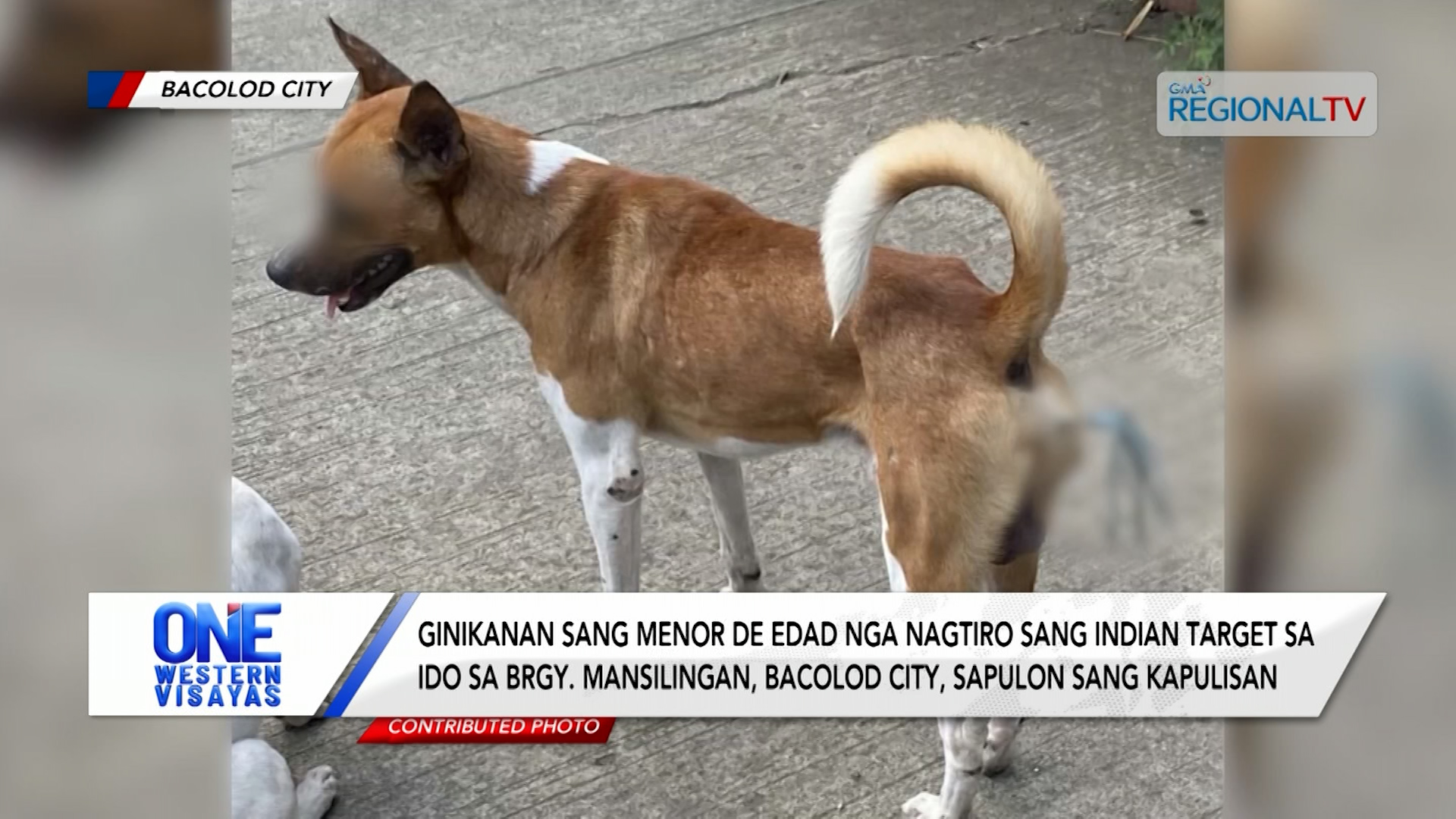 Ginikanan sang menor de edad nga nagtiro sang indian target sa ido, ipatawag