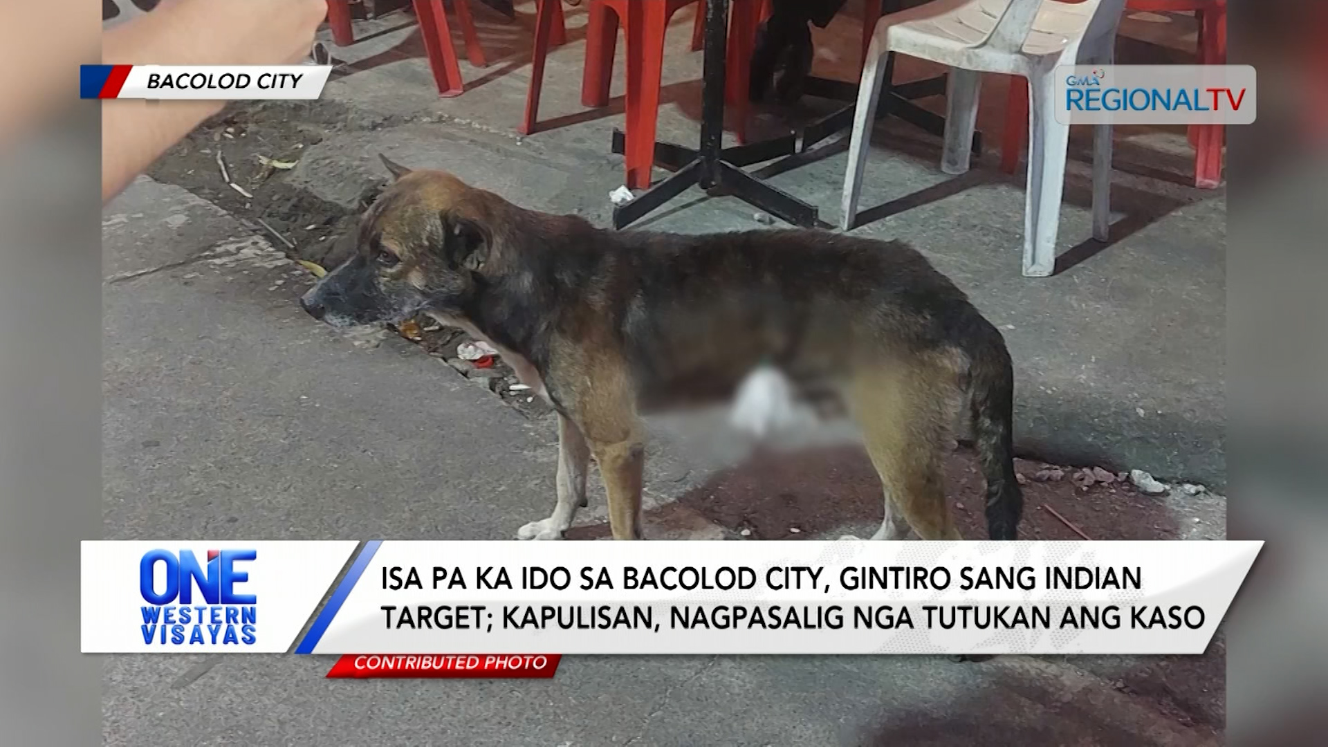 Isa pa ka ido sa Bacolod City, gintiro sang indian target