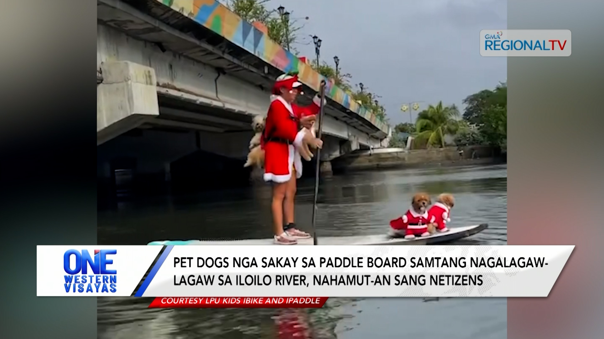 Pet dogs nga sakay sa paddle board samtang nagalagaw-lagaw sa Iloilo River