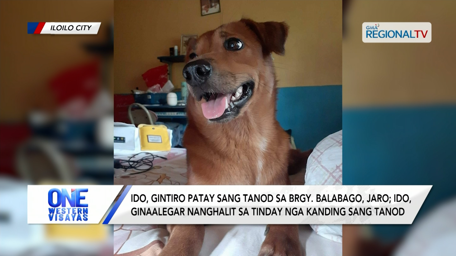 Ido, ginaalegar gintiro sang tanod sa Brgy. Balabago, Jaro | One Western Visayas