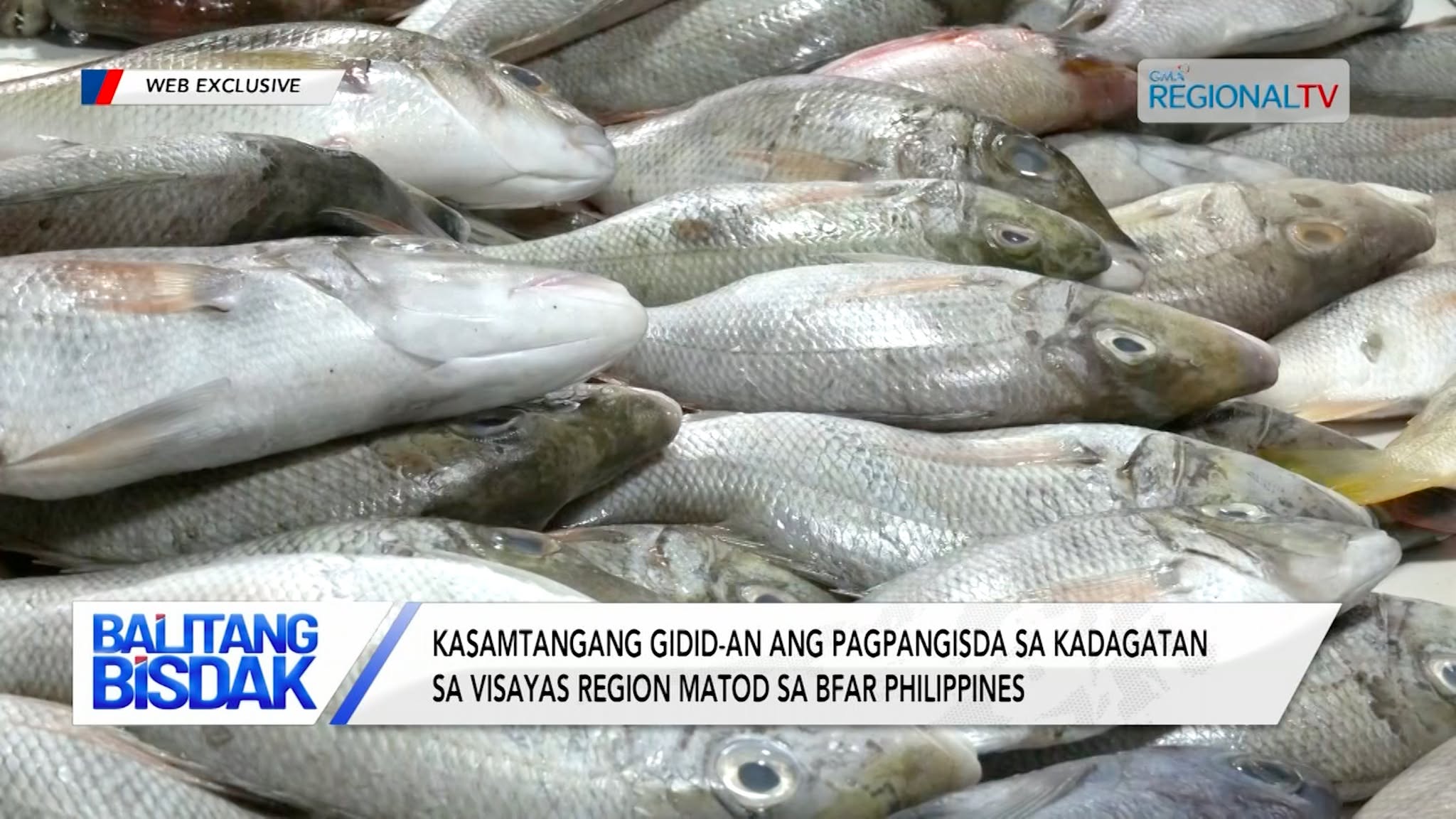 Kadagatan sa Visayas Region, Dili una Pangisdaan | Balitang Bisdak