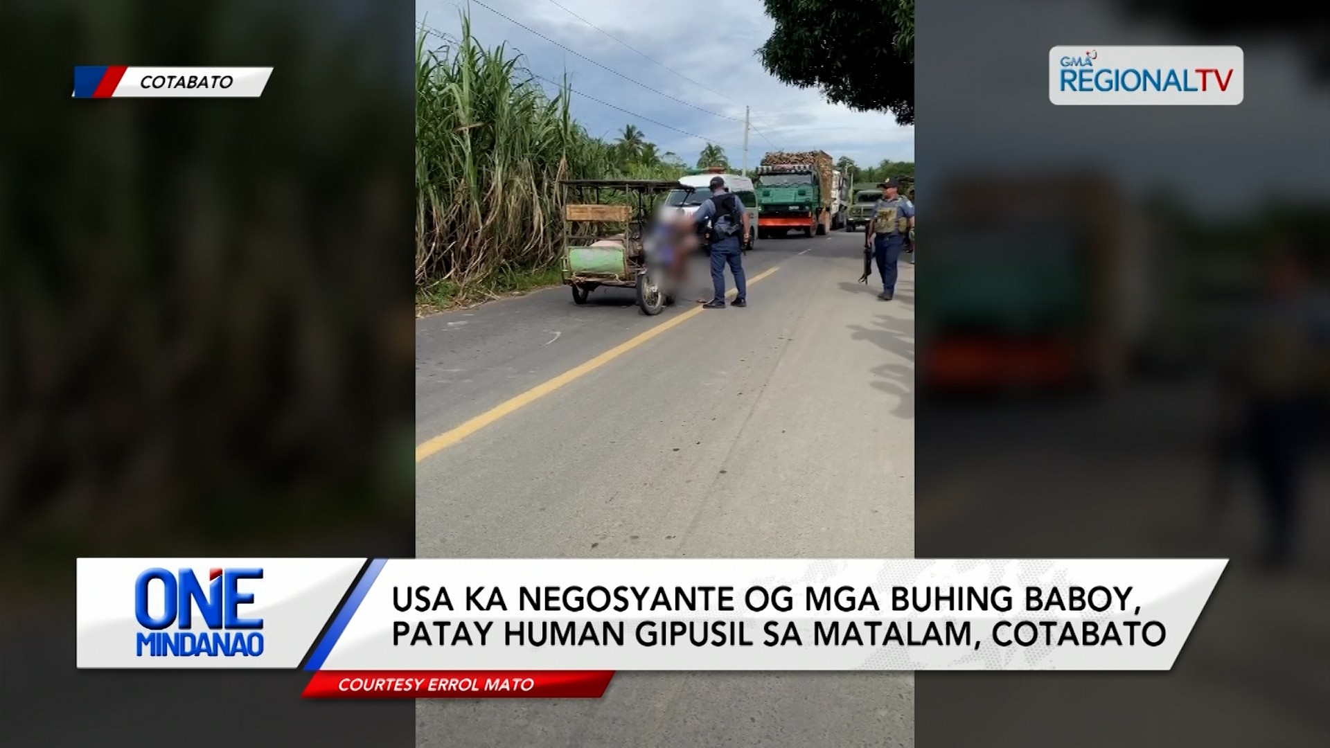 Usa ka negosyante og mga buhing baboy, patay human gipusil | One Mindanao