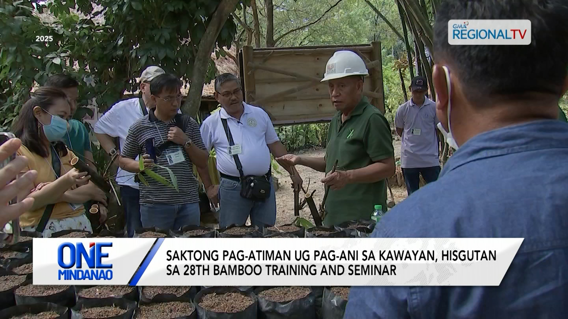 Saktong pag-atiman ug pag-ani sa kawayan, hisgutan | One Mindanao