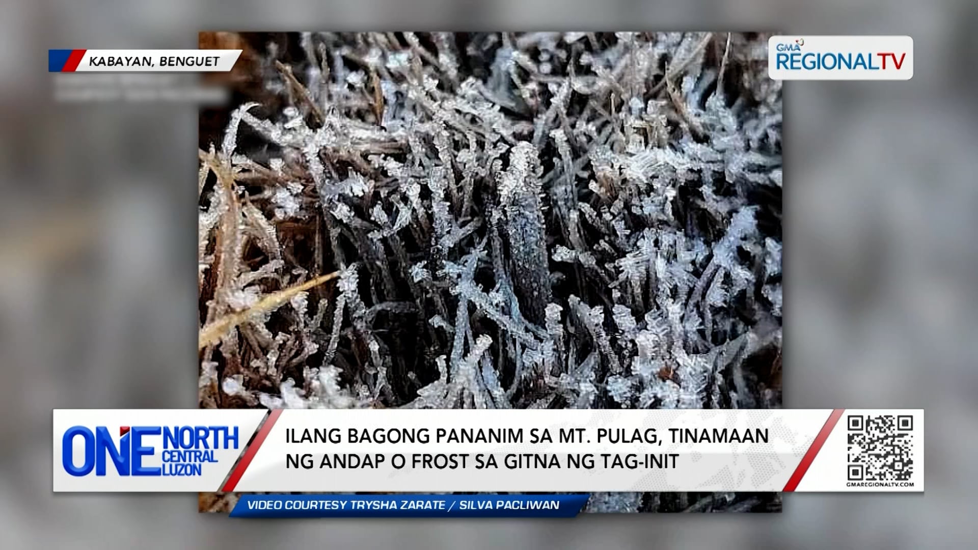 Ilang pananim sa Mt. Pulag, tinamaan ng andap sa gitna ng tag-init. | One North Central Luzon