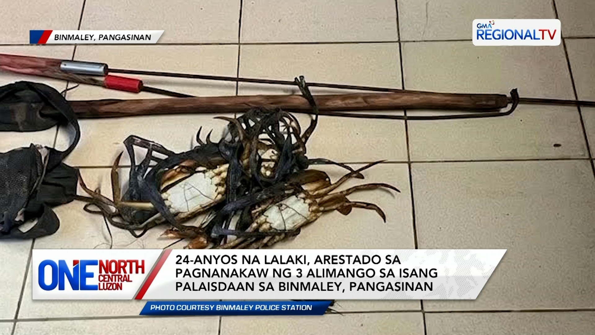 Lalaki, arestado sa pagnanakaw ng 3 alimango sa isang palaisdaan | One North Central Luzon