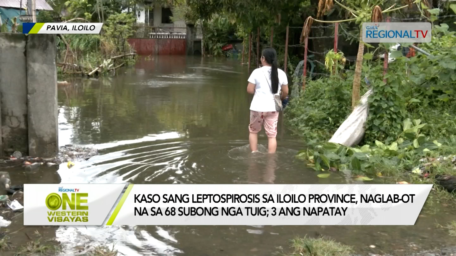 Leptospirosis Cases sa Iloilo, Naglab-ot na sa 68 Subong nga Tuig; 3, Napatay