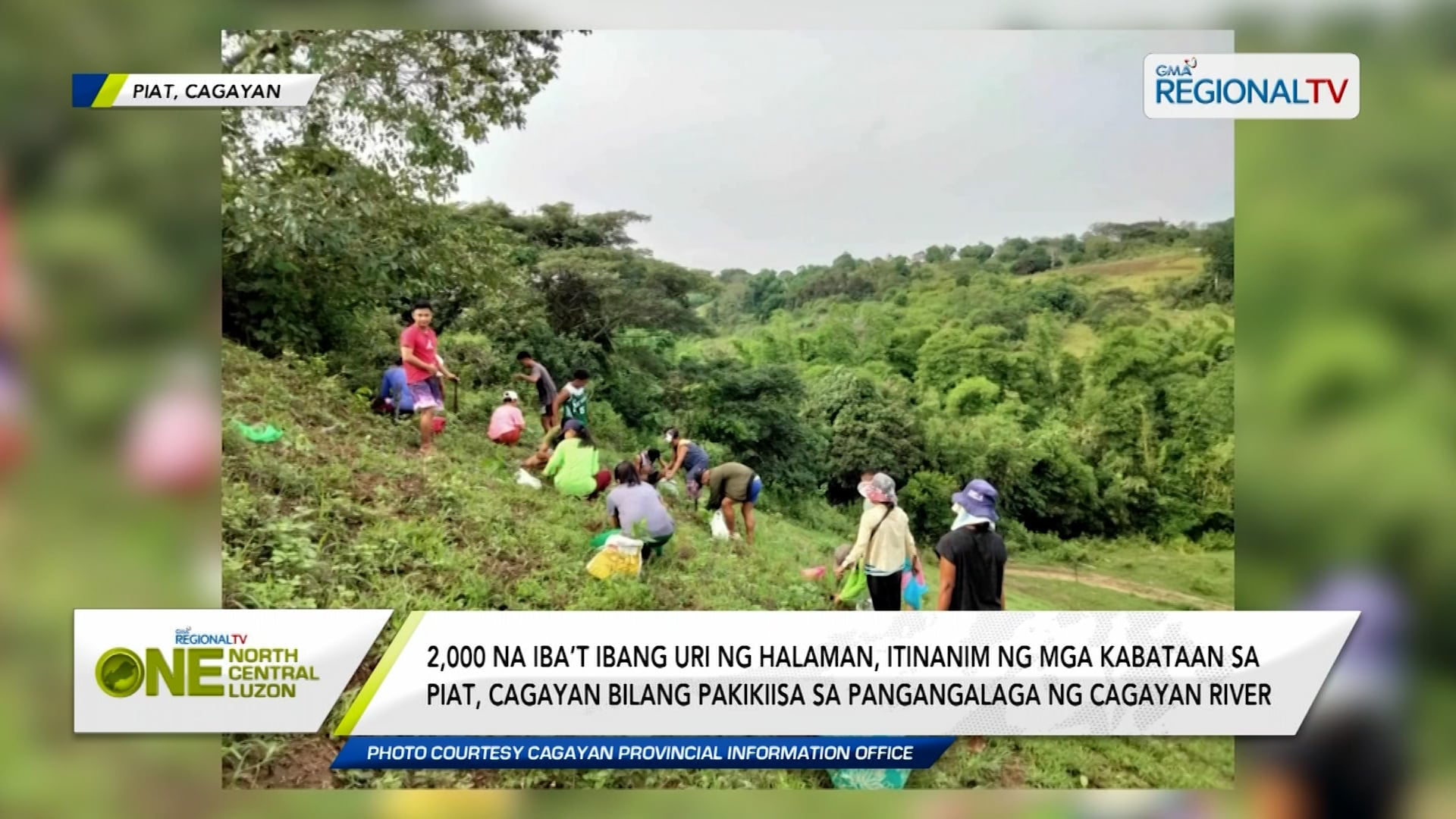 2,000 na iba’t ibang uri ng halaman, itinanim ng sa Piat, Cagayan