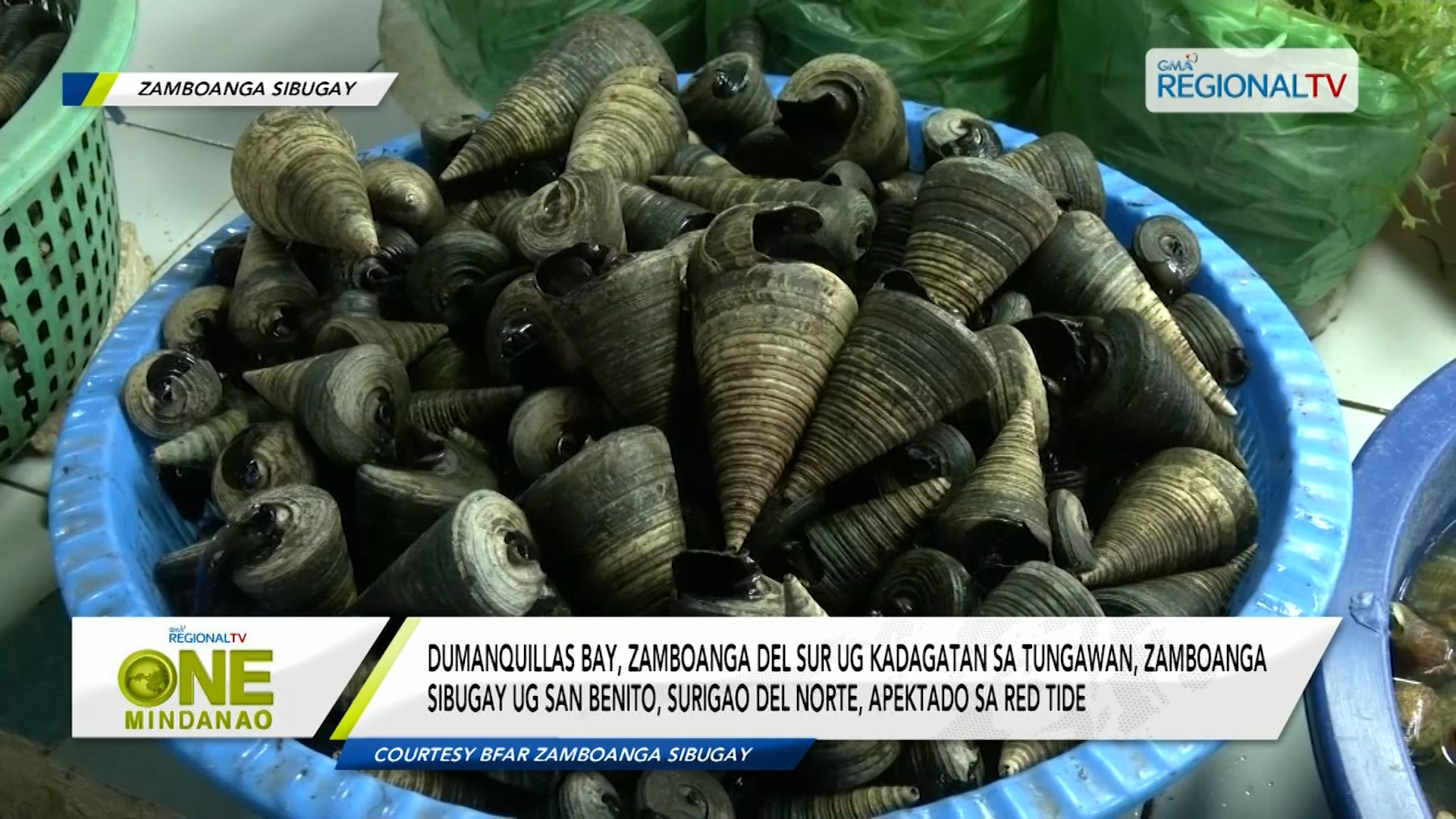 Zamboanga del Sur, Zamboanga Sibugay ug Surigao del Norte, apektado sa red tide